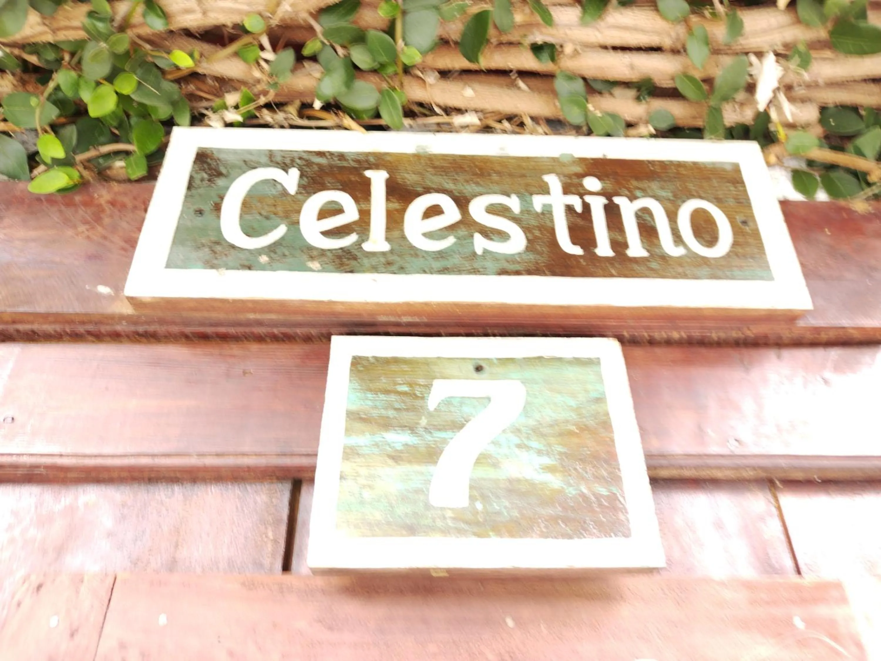 Text overlay in Hotel Casa Chapultepec