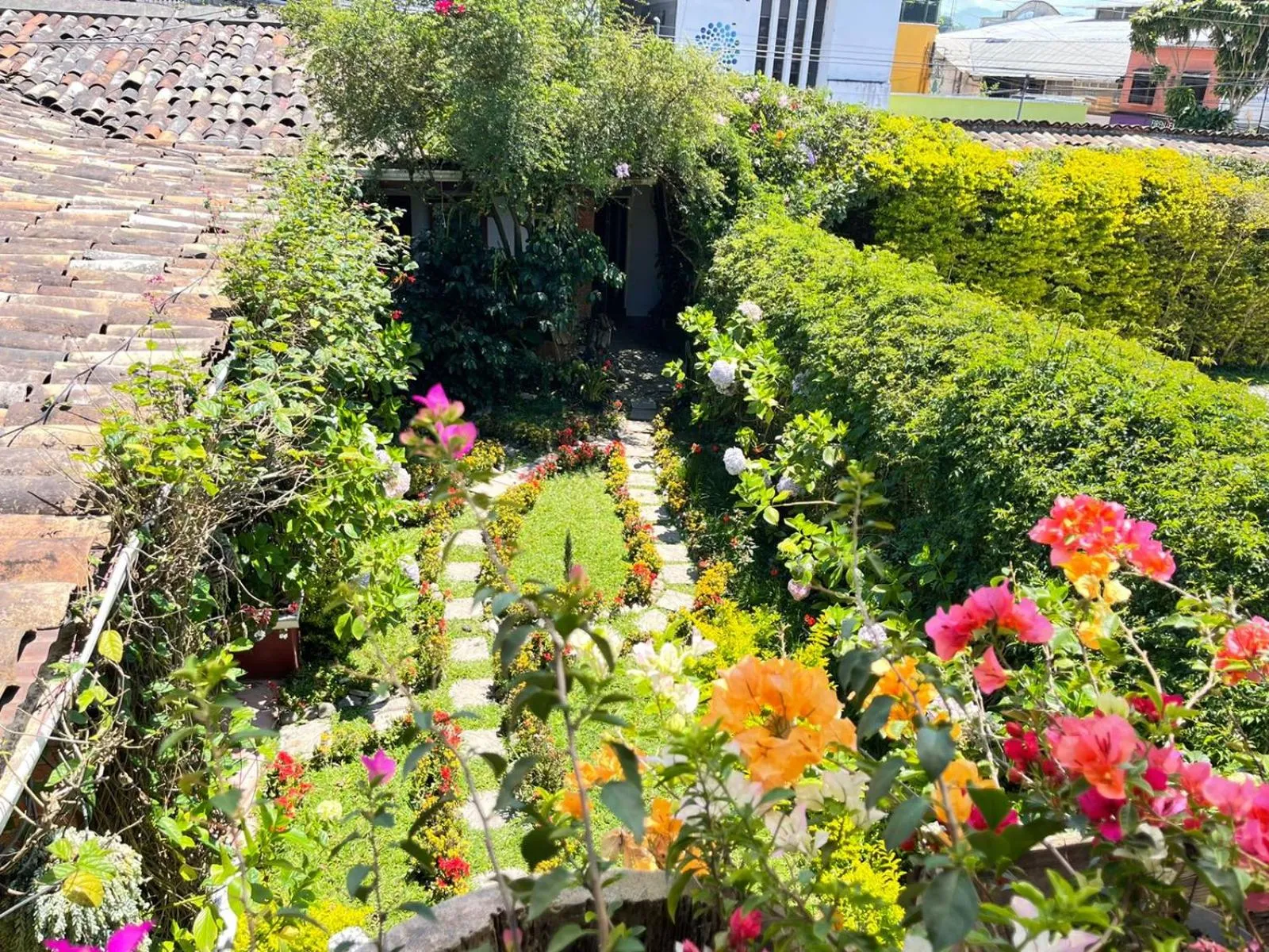 Garden view in Hotel Casa Chapultepec
