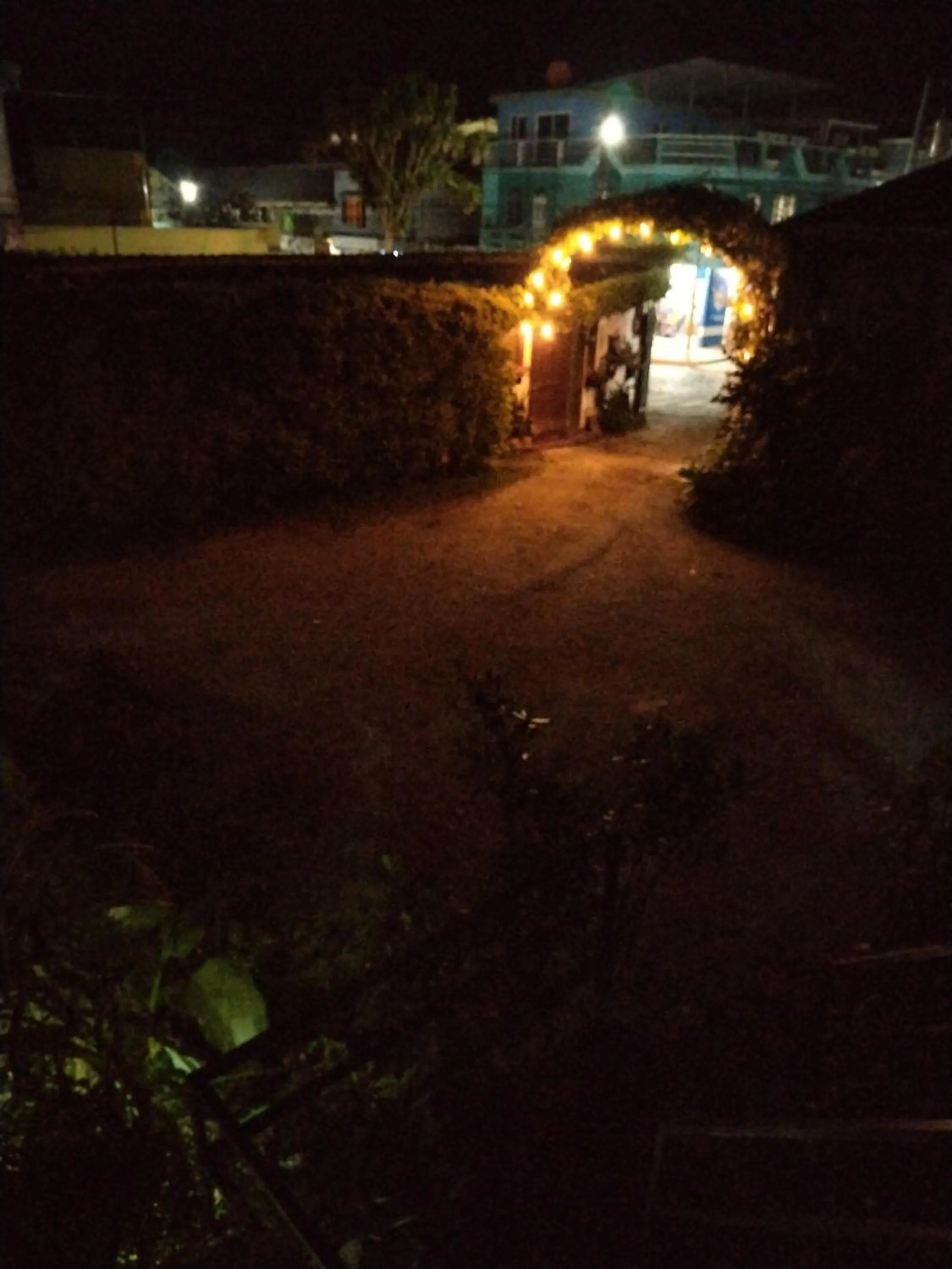 Night in Hotel Casa Chapultepec