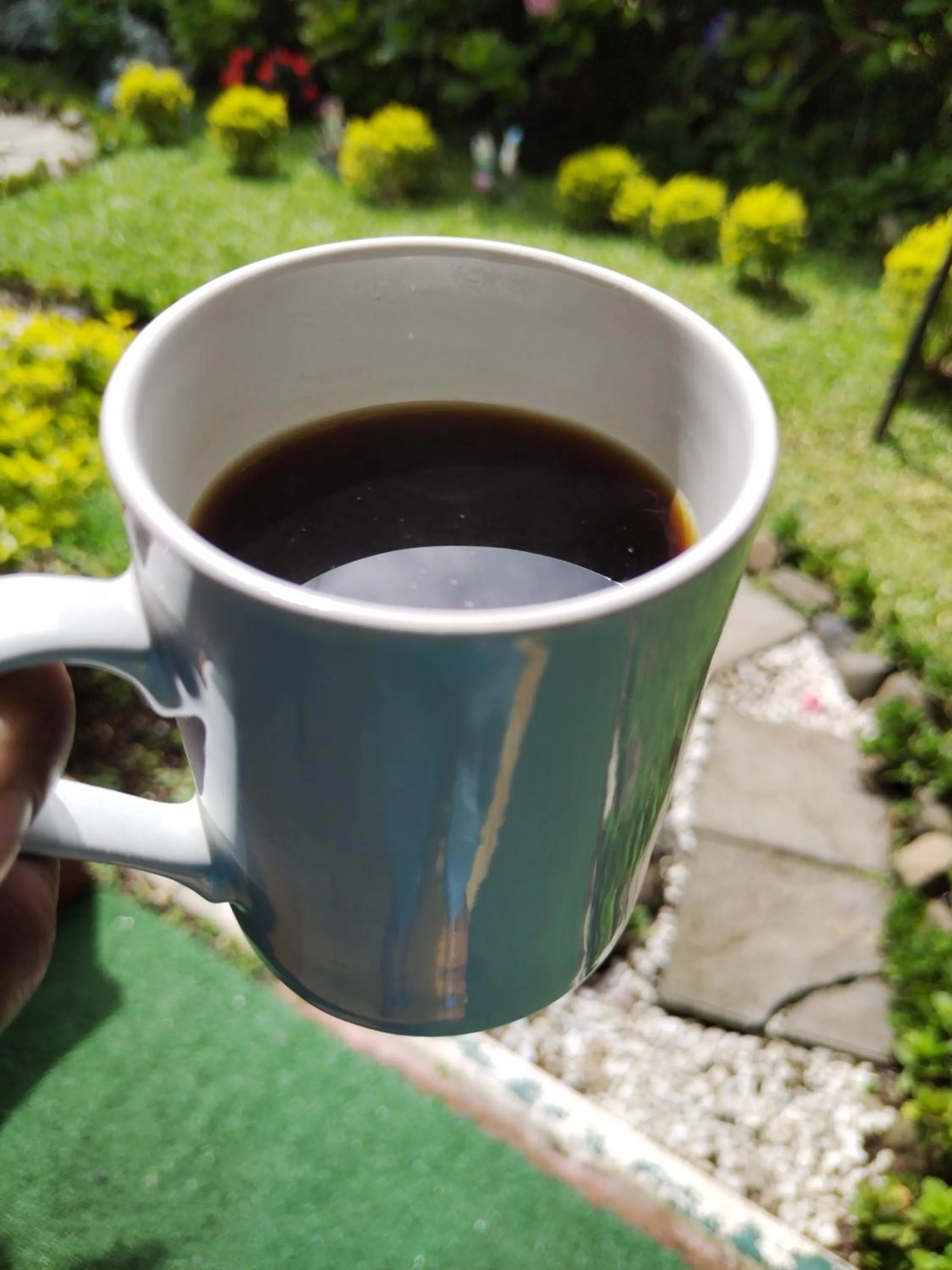 Garden in Hotel Casa Chapultepec