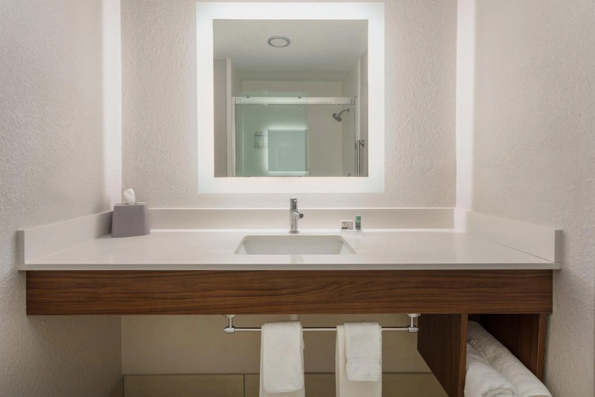 Bathroom in Holiday Inn Express & Suites Tucson North - Marana, by IHG