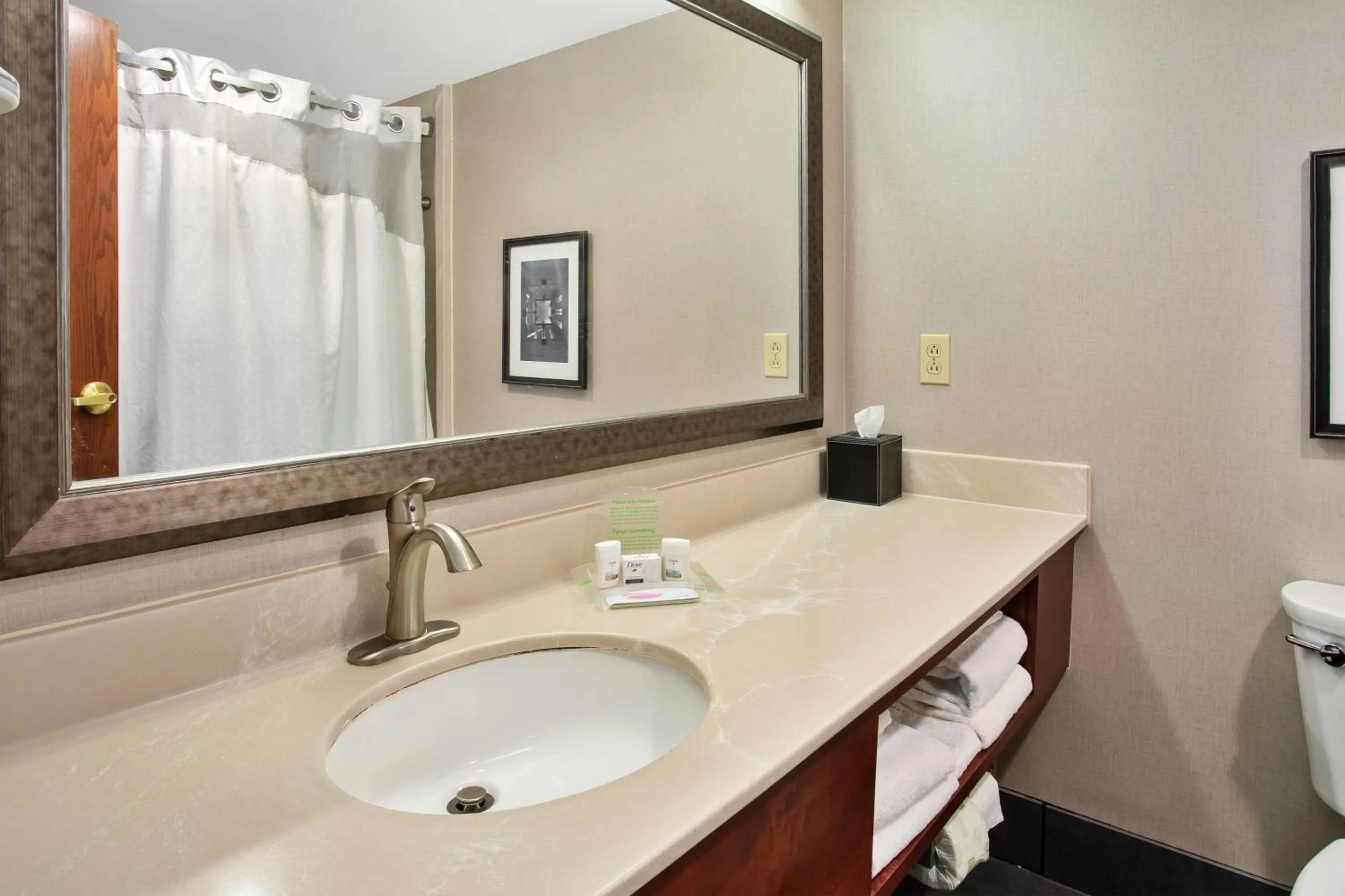 Bathroom in Holiday Inn University Plaza-Bowling Green by IHG