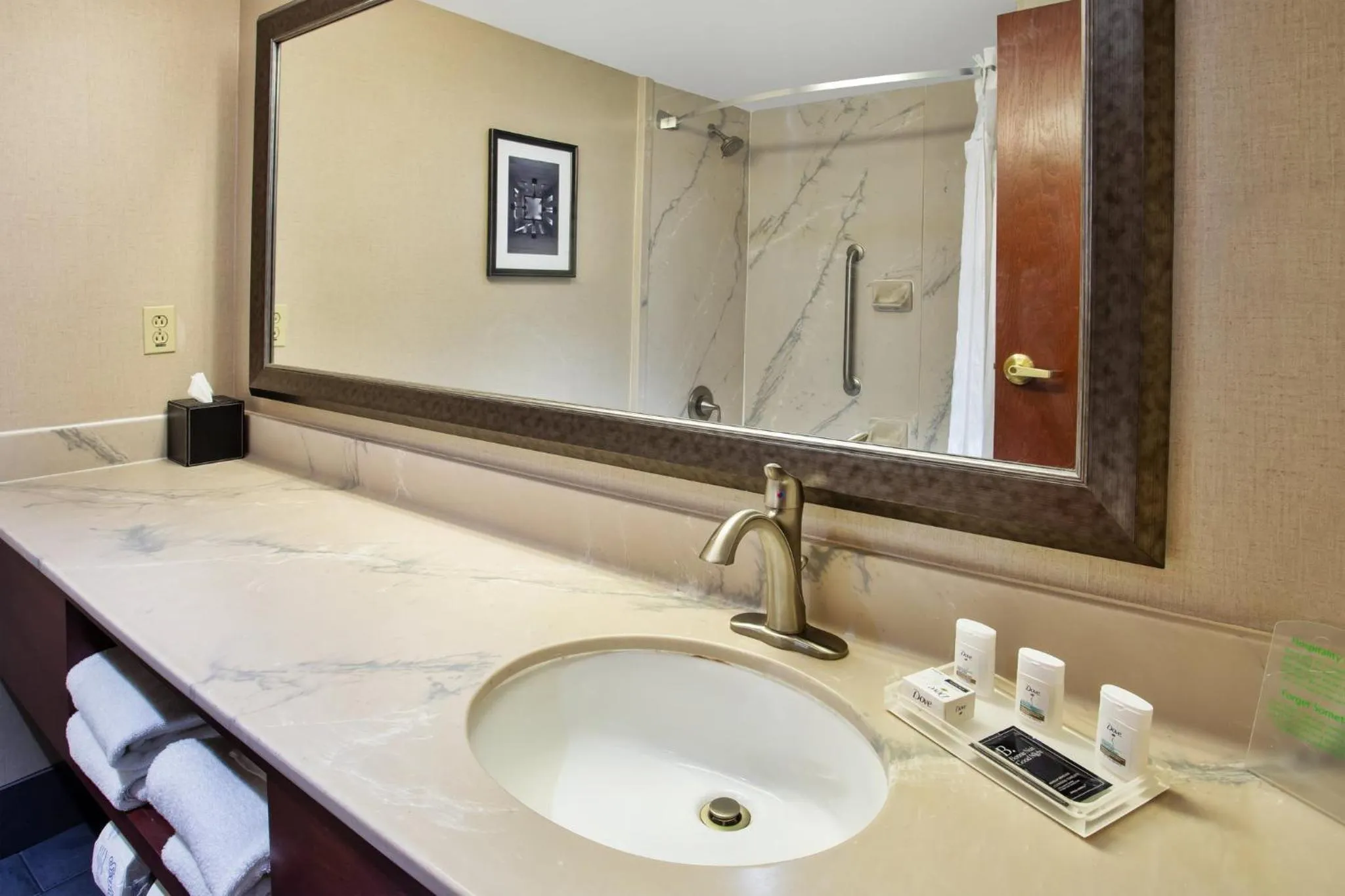 Bathroom in Holiday Inn University Plaza-Bowling Green by IHG
