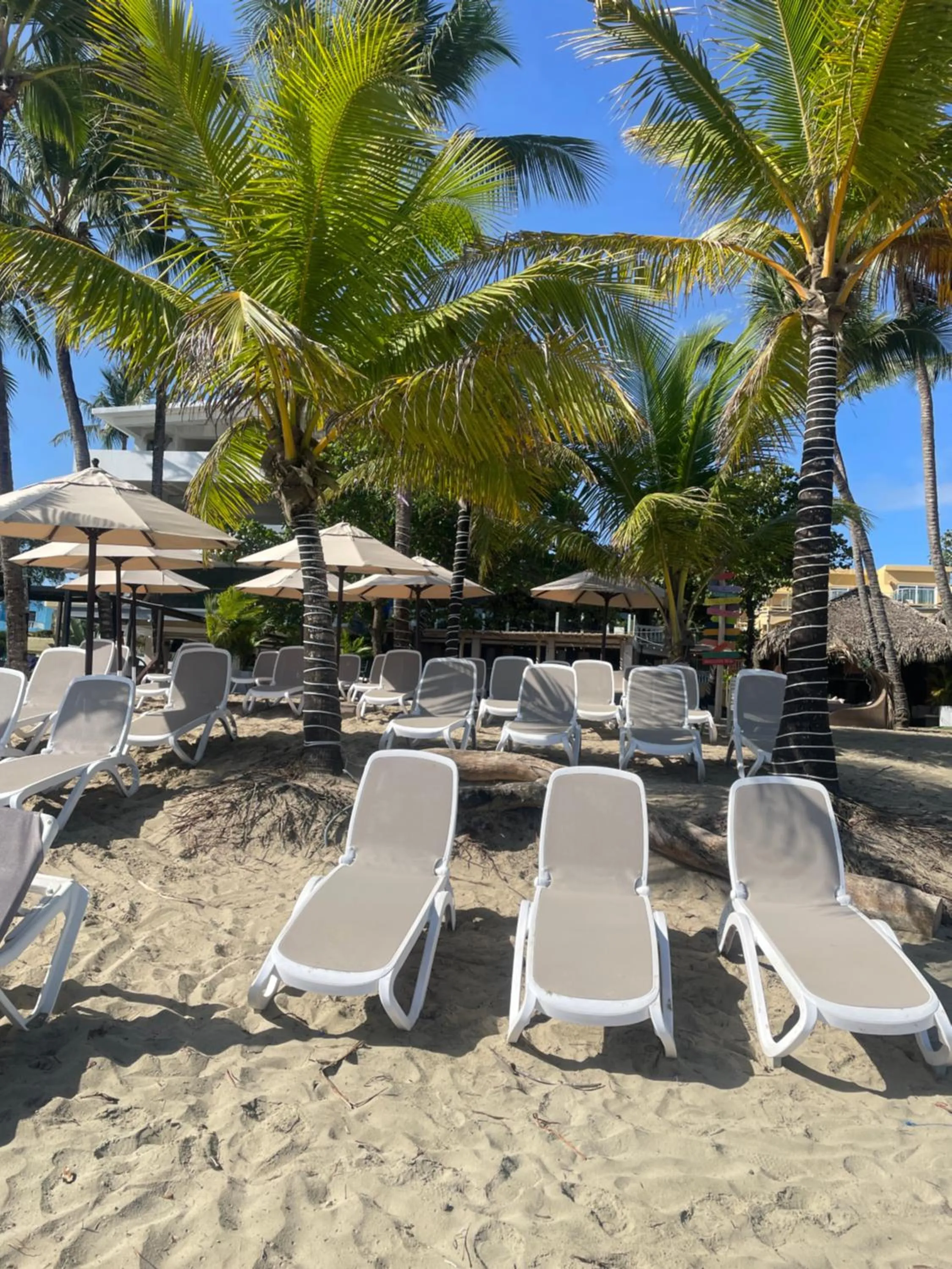 Beach in Hotel Villa Taina