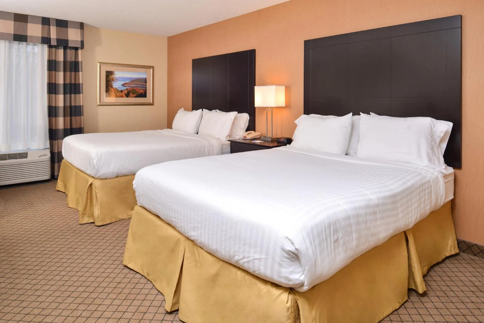 Photo of the whole room, Bed in Holiday Inn Express Lewisburg - New Columbia by IHG