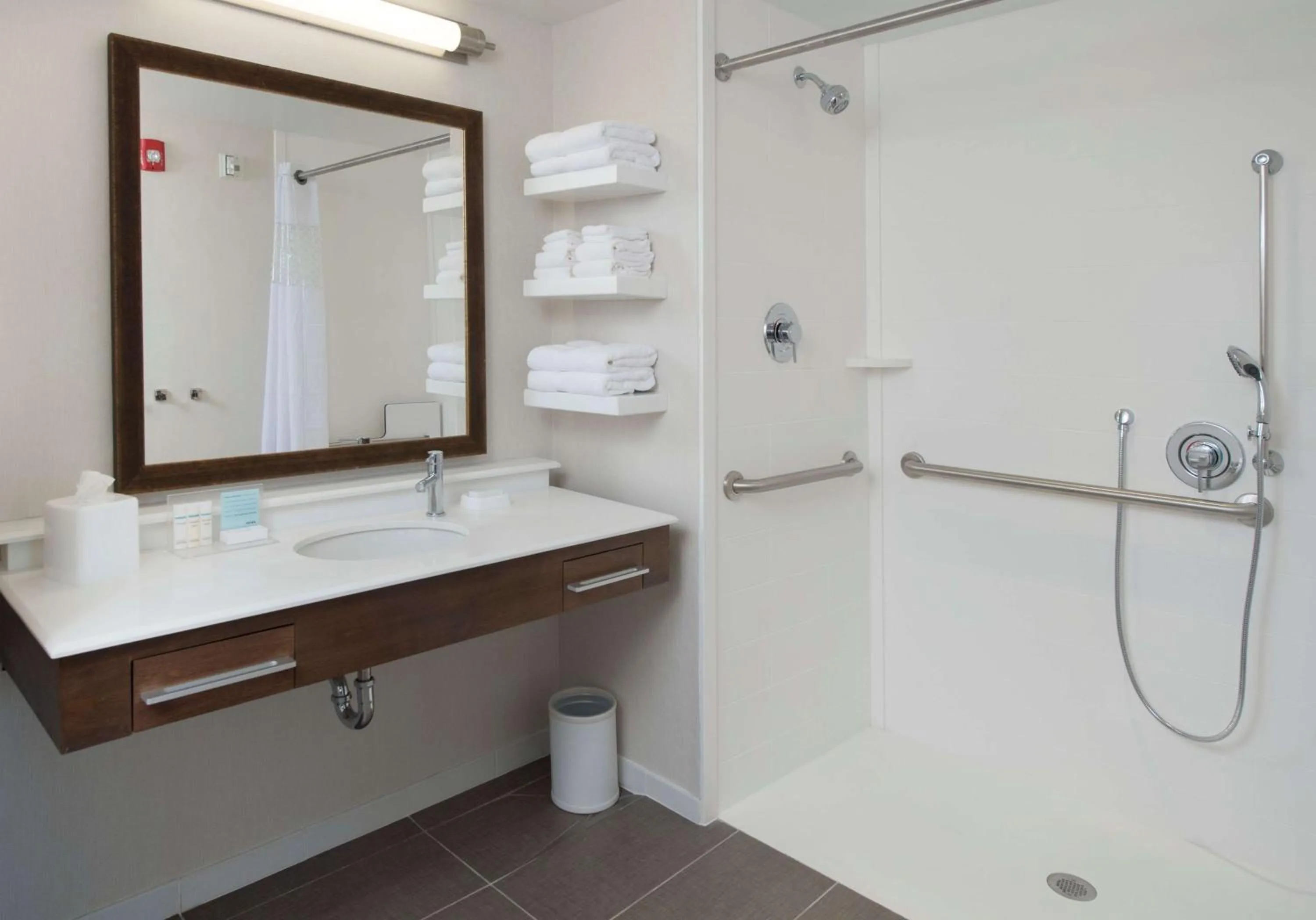 Bathroom in Hampton Inn & Suites Braselton