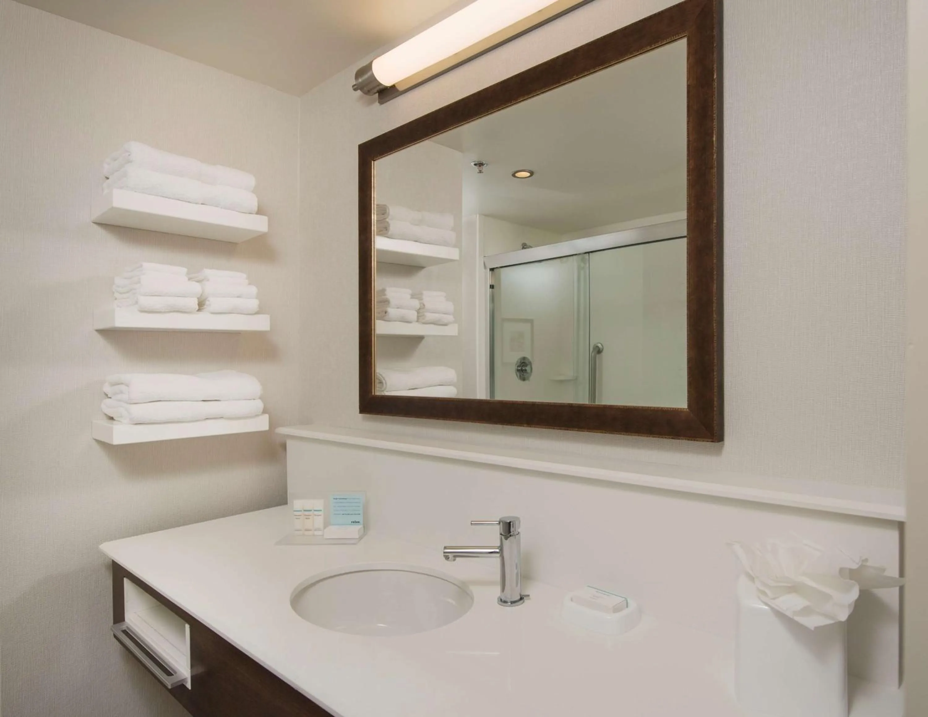 Bathroom in Hampton Inn & Suites Braselton
