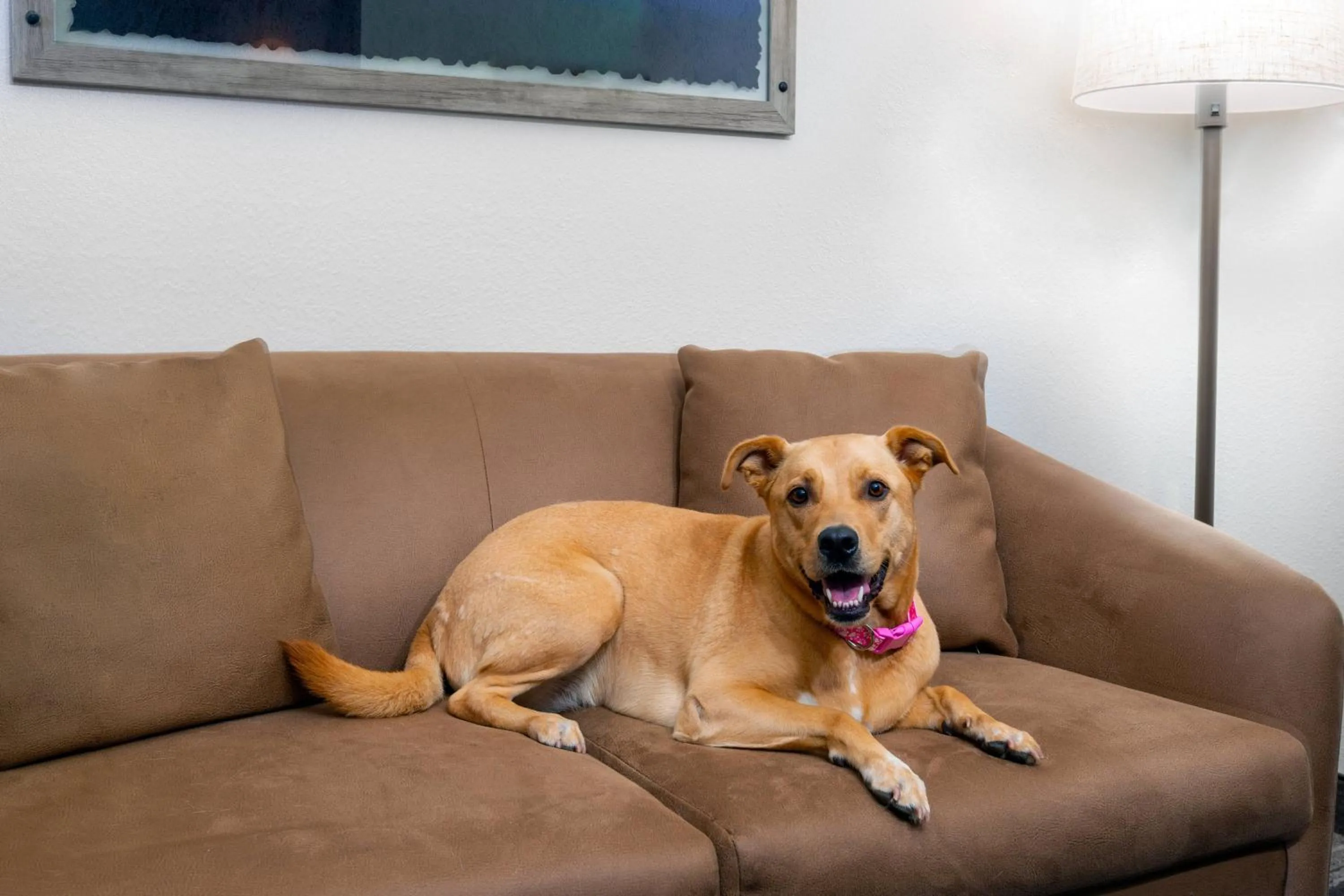 Other in Fairfield Inn and Suites by Marriott Clearwater