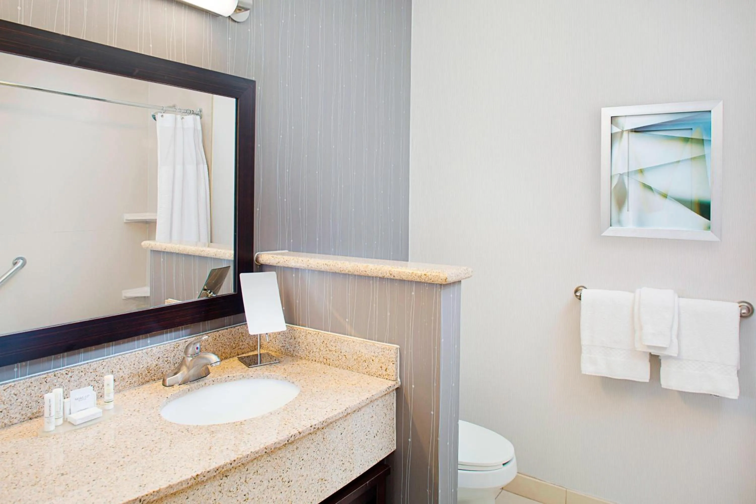 Bathroom in Courtyard by Marriott San Antonio SeaWorld Westover Hills