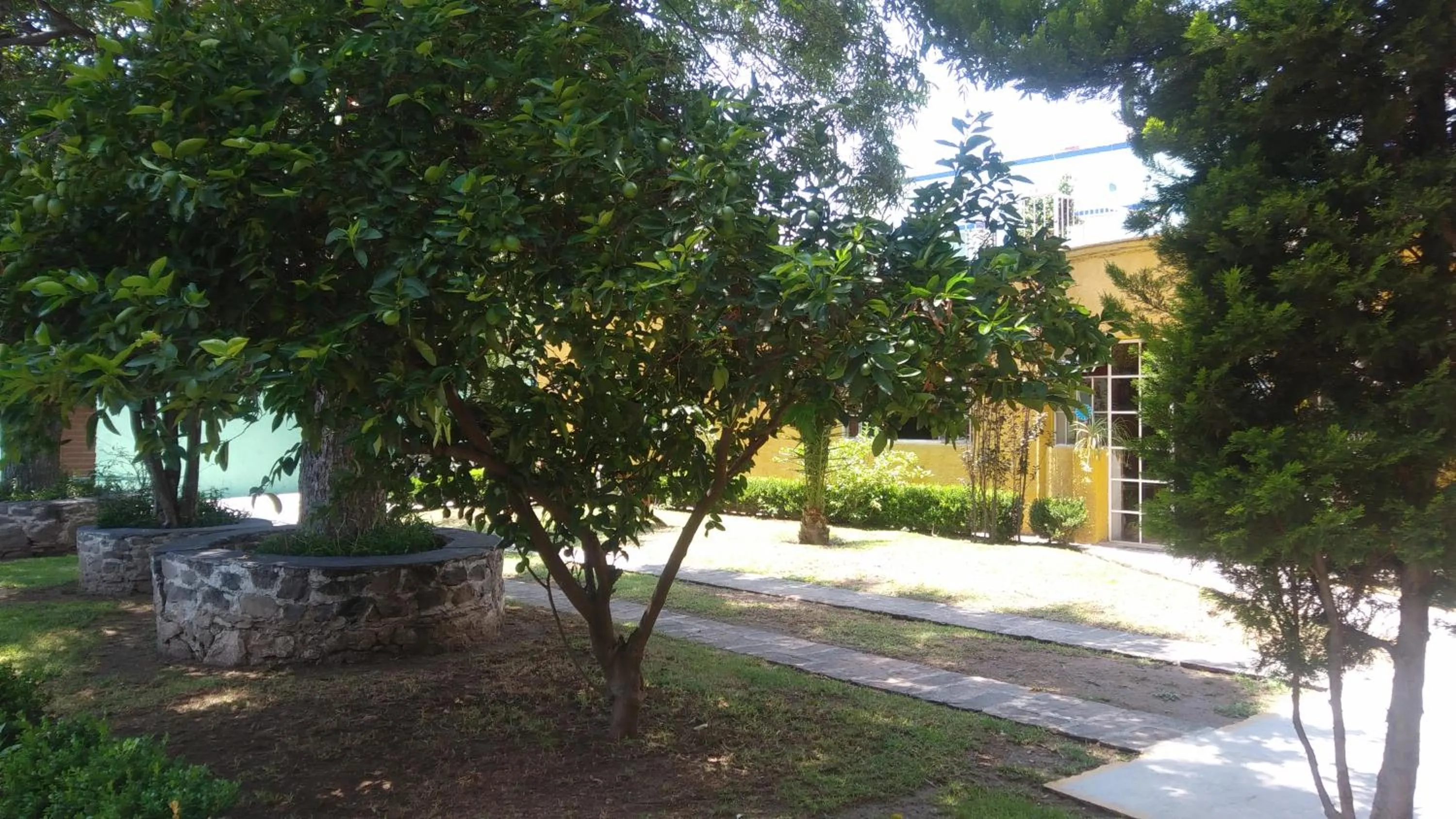 Garden in Hotel Elohim by Rotamundos