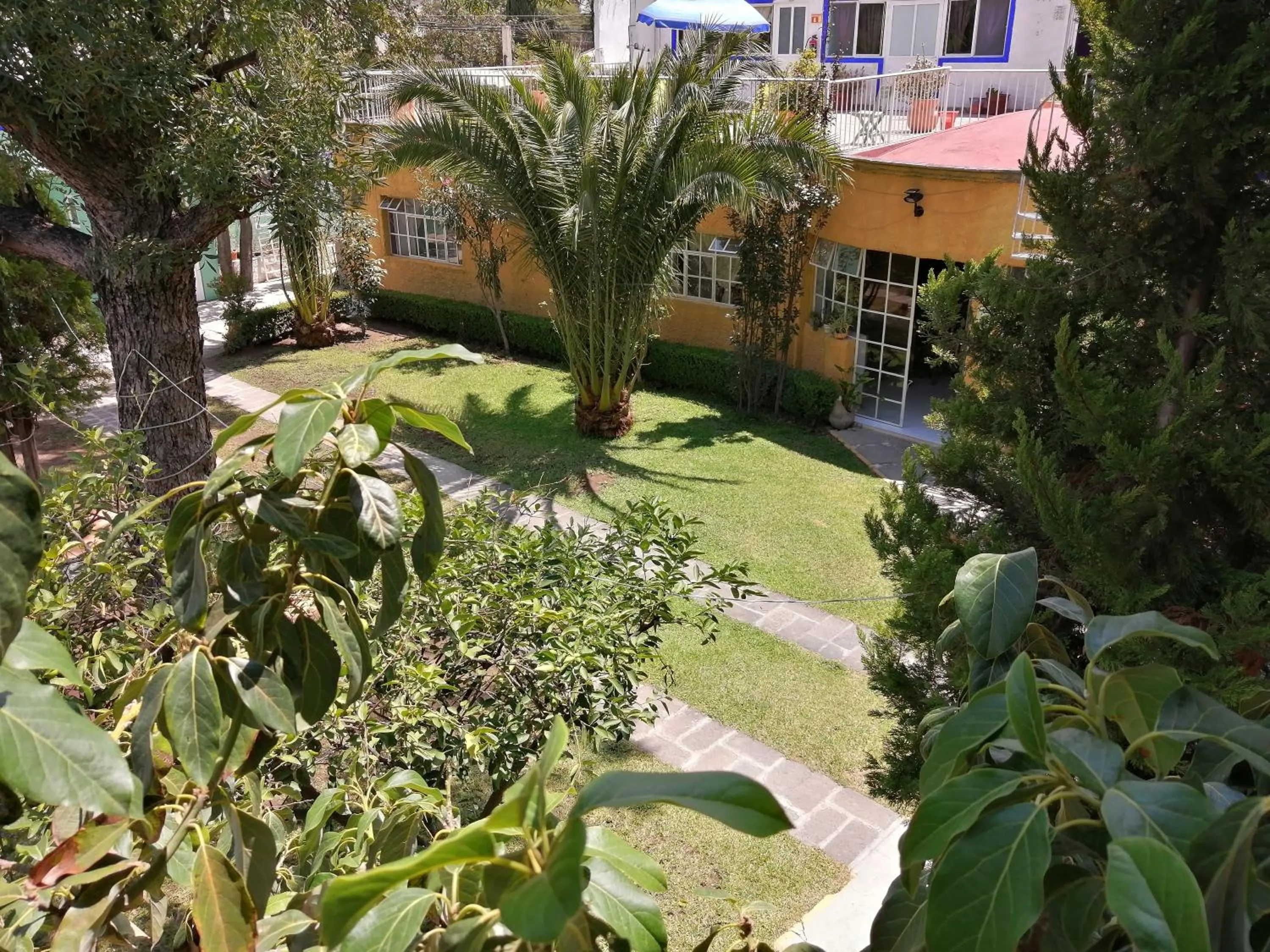 Bird's eye view in Hotel Elohim by Rotamundos