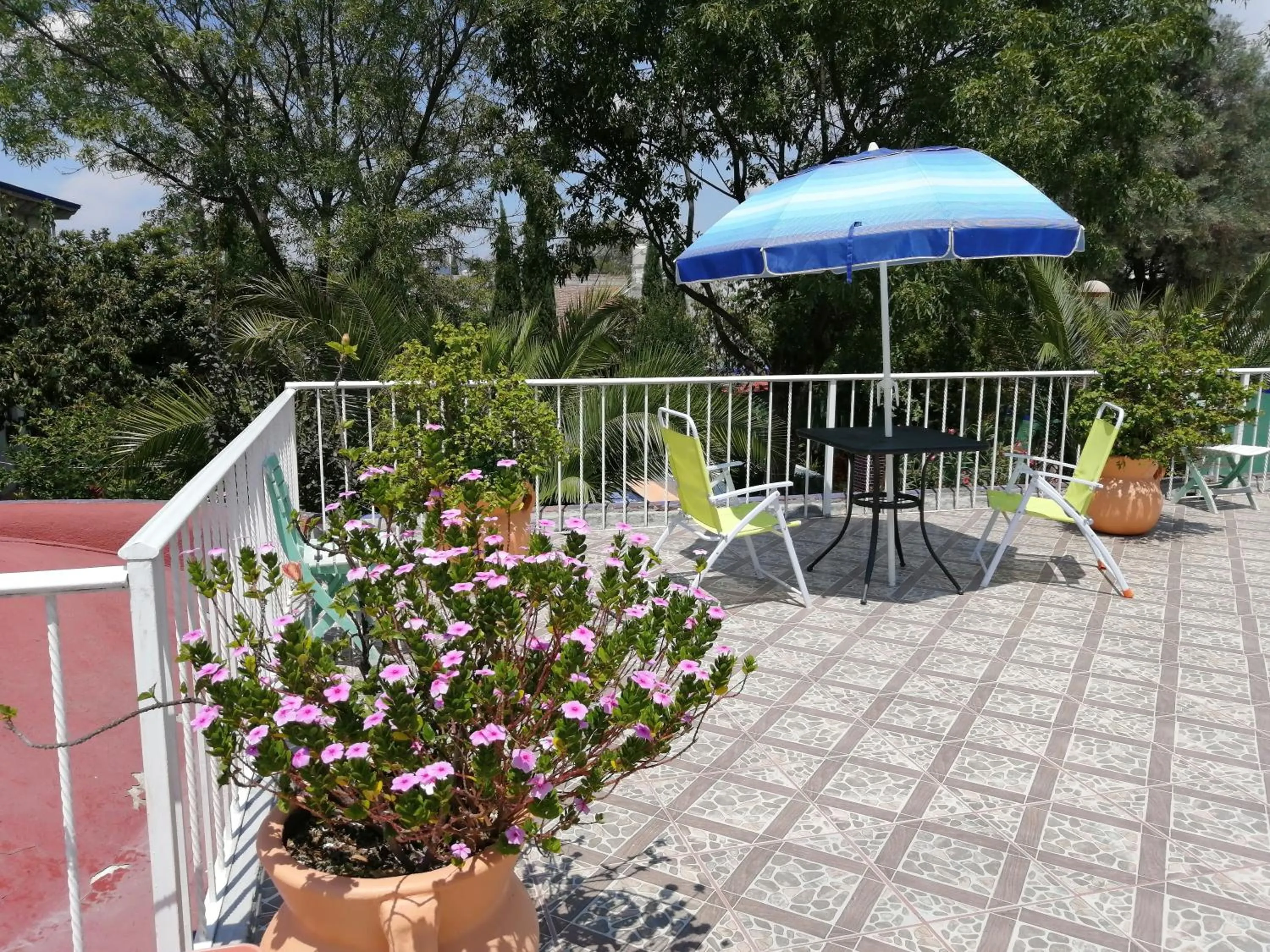 Patio in Hotel Elohim by Rotamundos