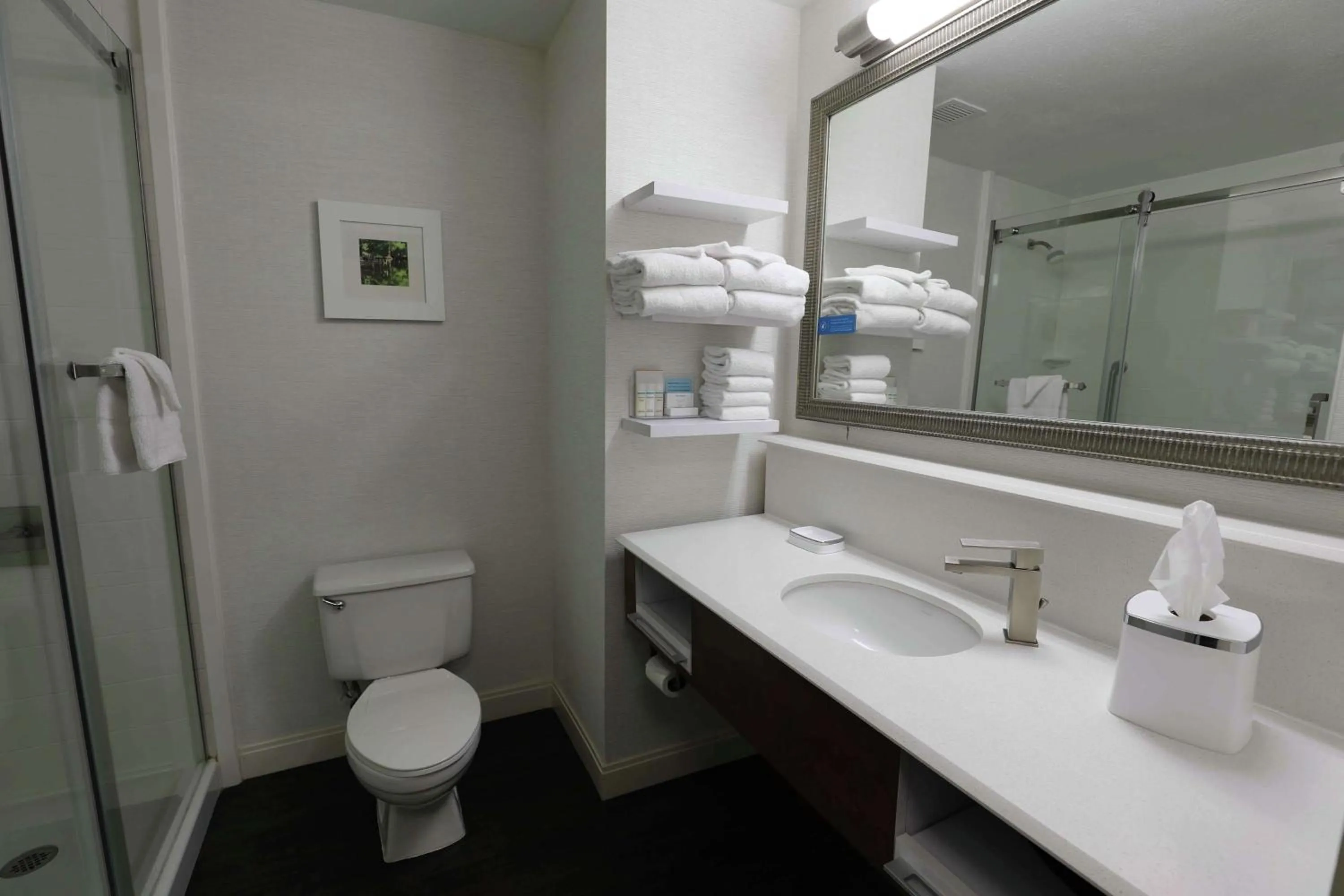 Bathroom in Hampton Inn Dyersburg