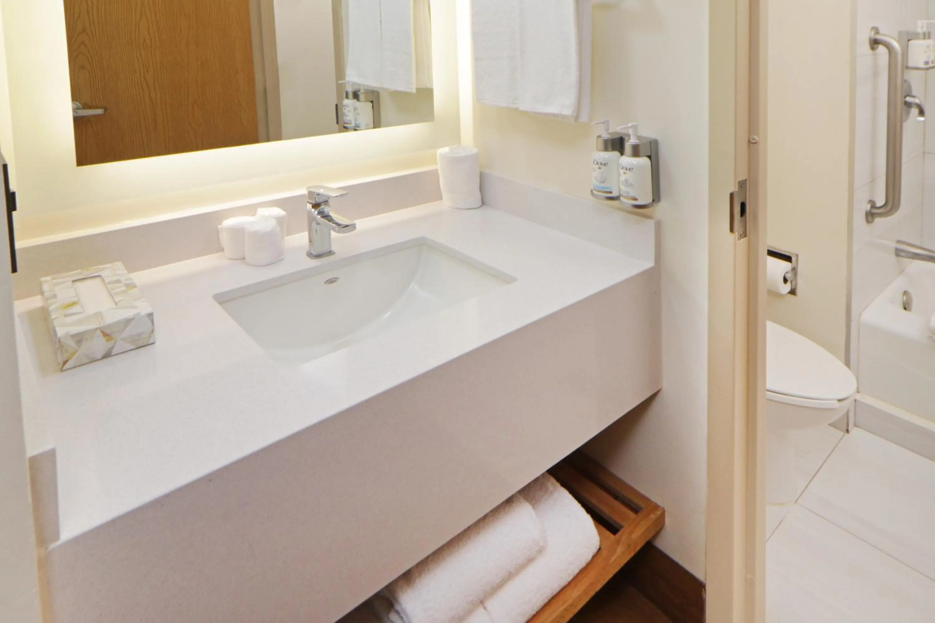 Bathroom in Holiday Inn Express Monterrey Galerias-San Jeronimo by IHG