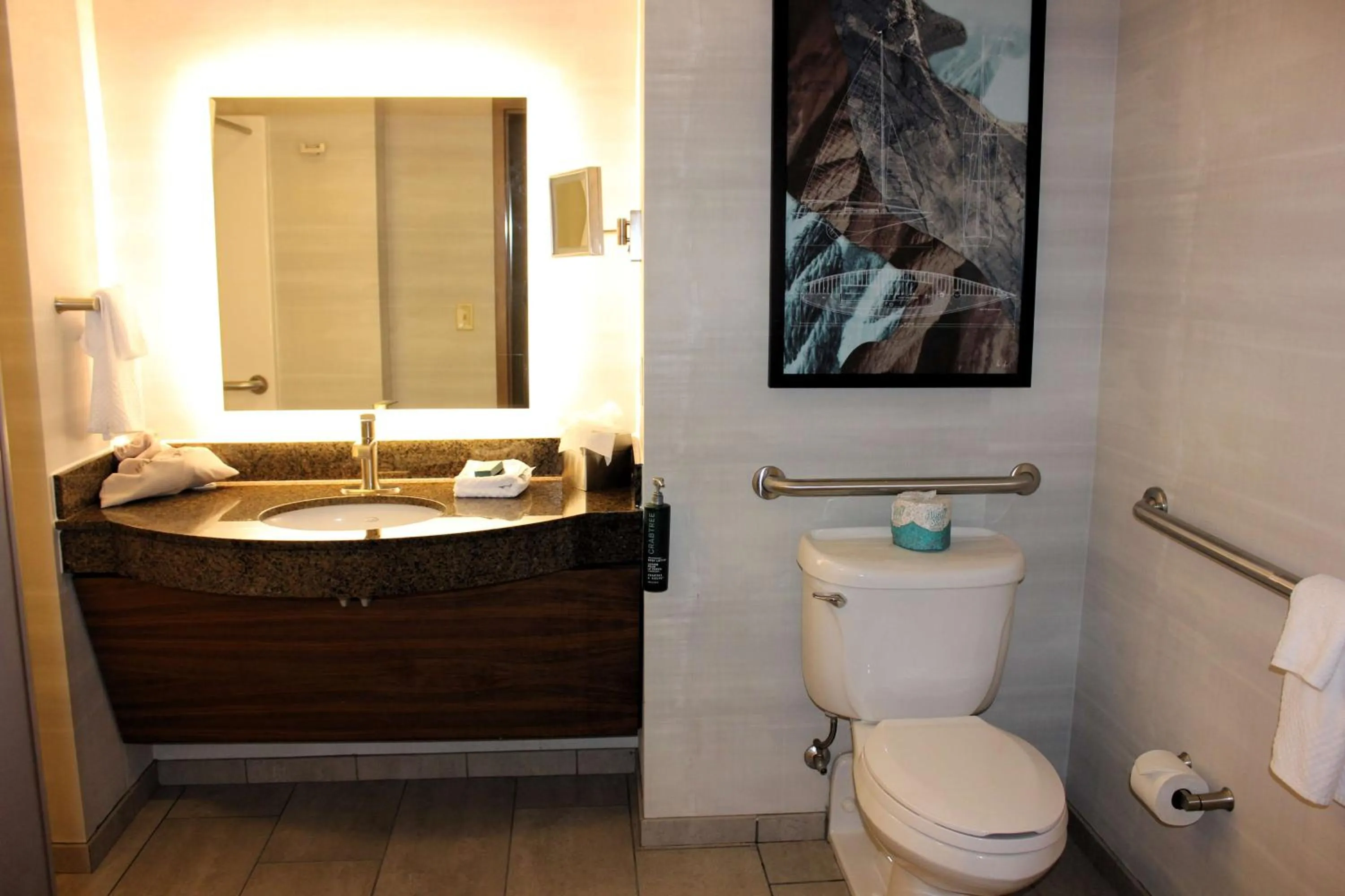 Bathroom in DoubleTree by Hilton Bay City - Riverfront