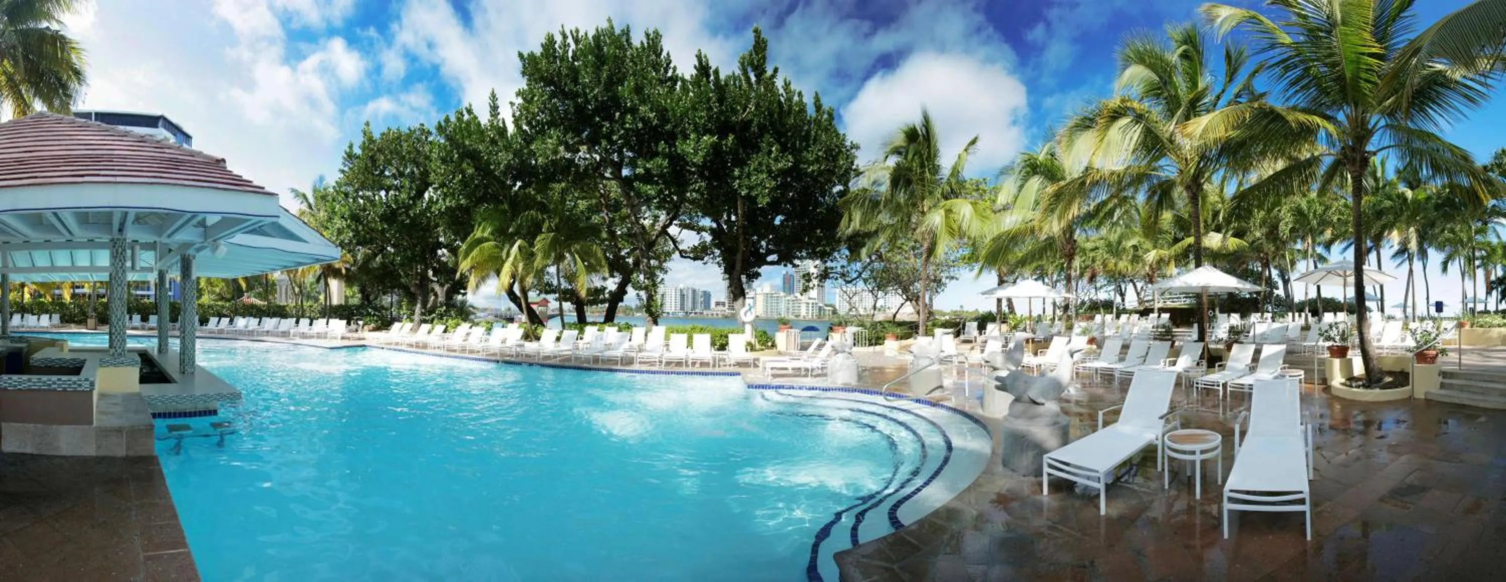 Pool view in The Condado Plaza Hotel