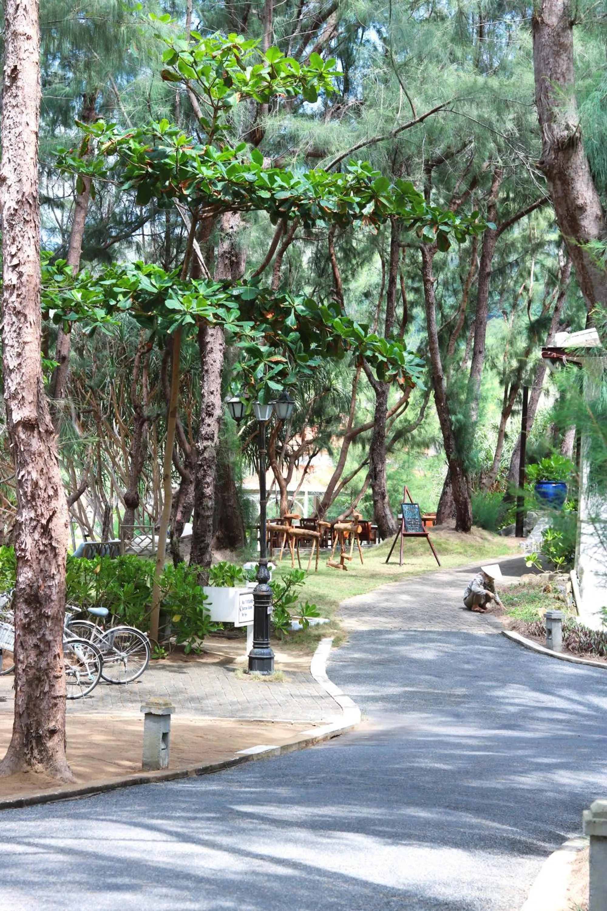 Natural landscape in Poulo Condor Boutique Resort & Spa