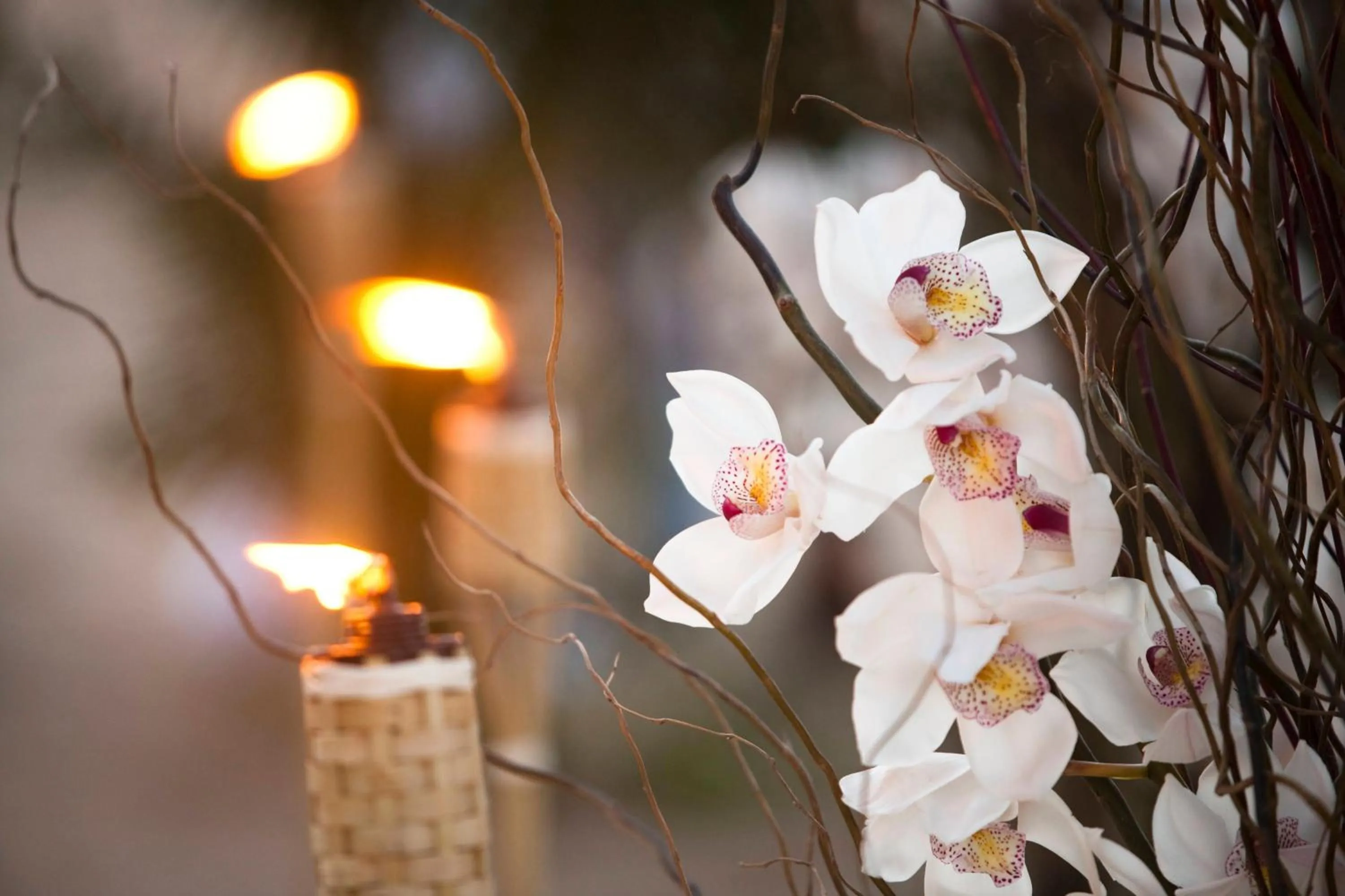 Banquet/Function facilities in San Juan Marriott Resort and Stellaris Casino