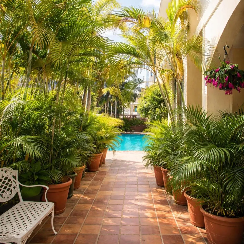 Pool view in Coral Princess Hotel