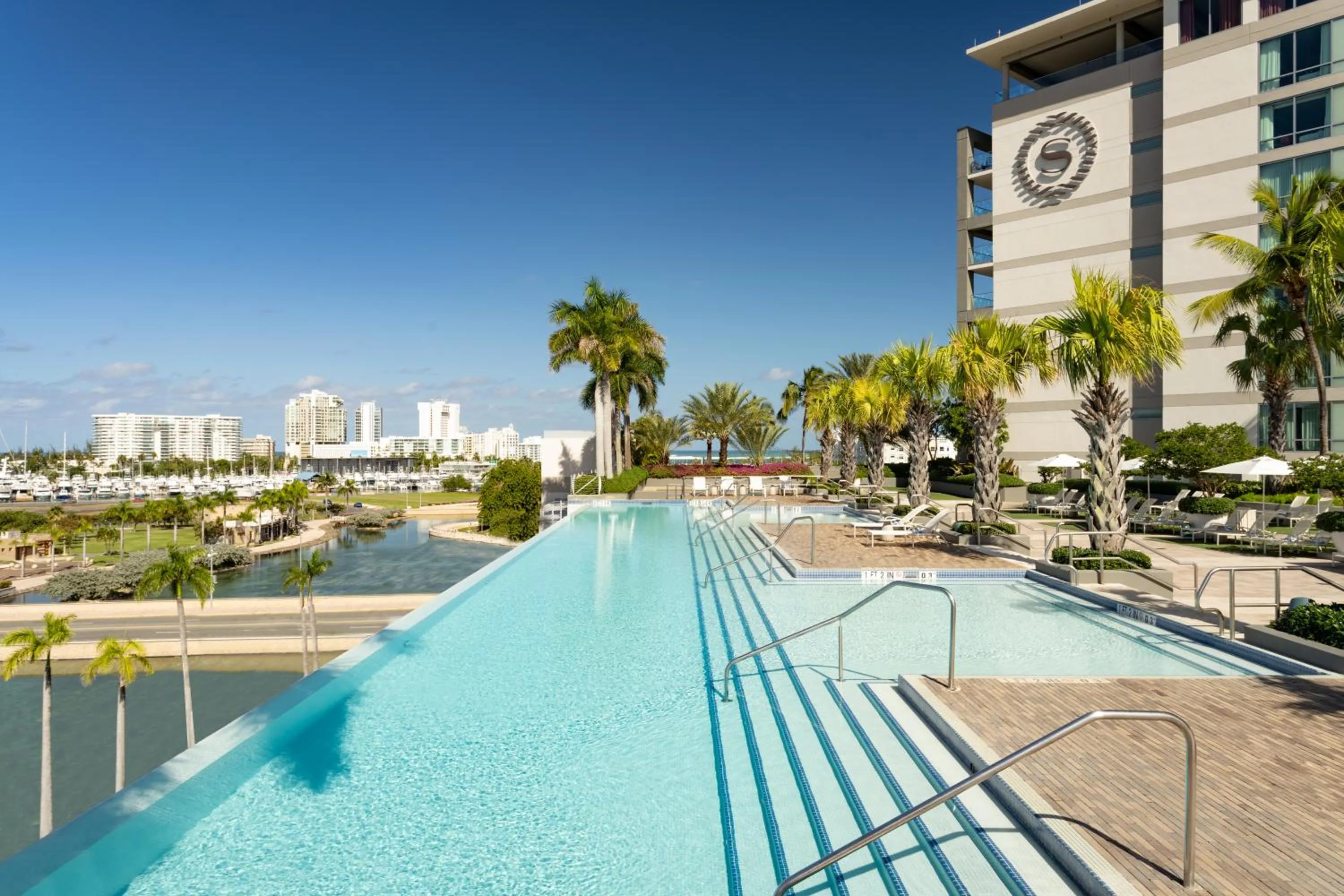 Swimming pool in Sheraton Puerto Rico Resort & Casino