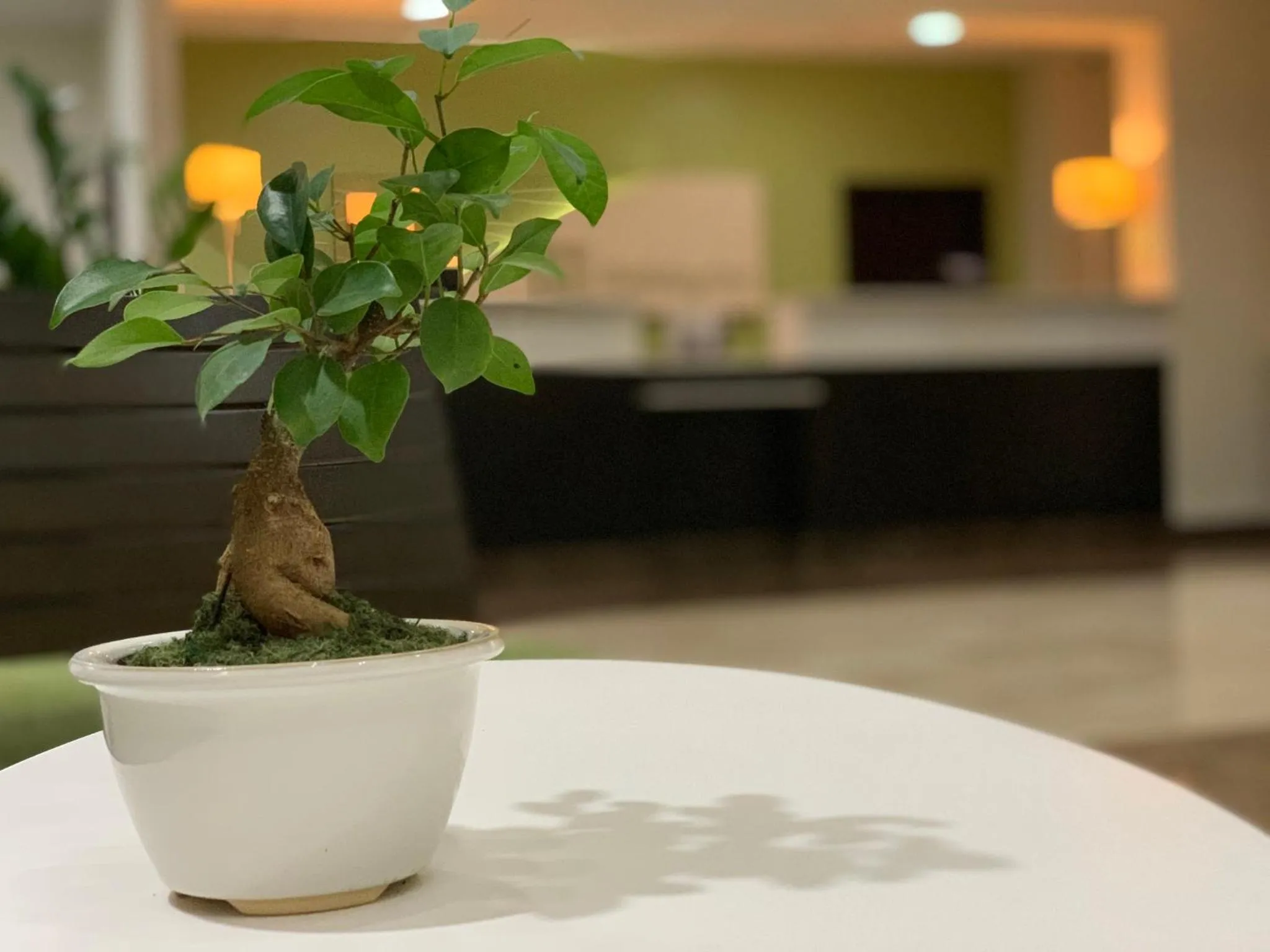 Property building in Holiday Inn Mayaguez & Tropical Casino by IHG