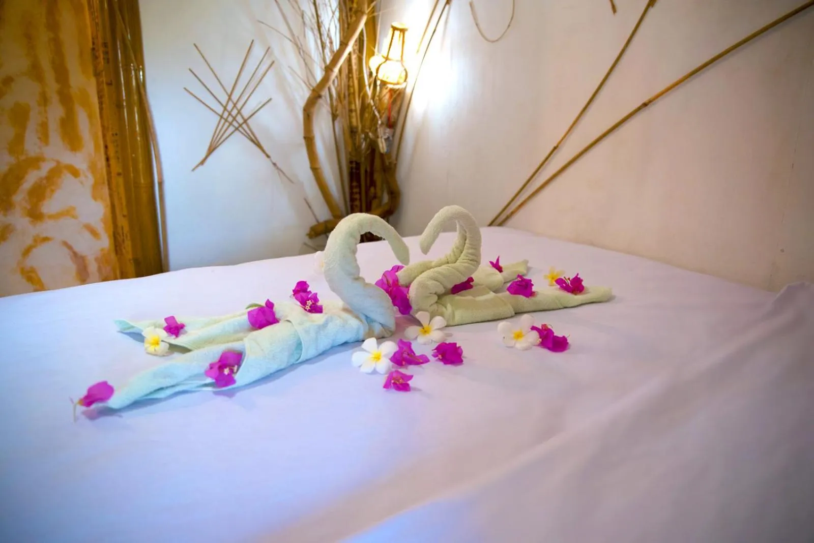 Bed in The Rabbit Tree Hostel