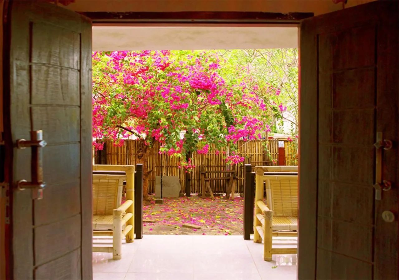 Garden view in The Rabbit Tree Hostel