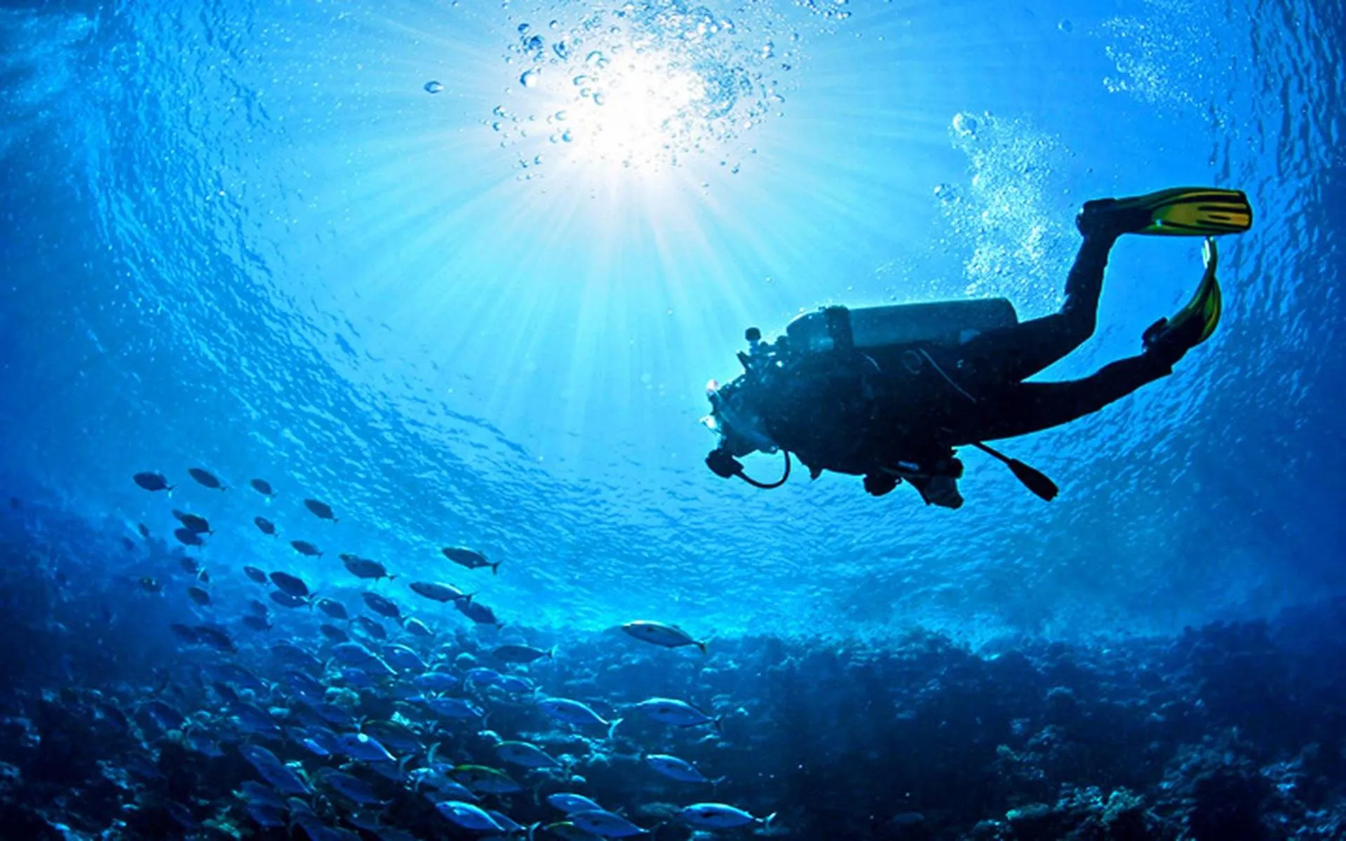 Activities in The Rabbit Tree Hostel