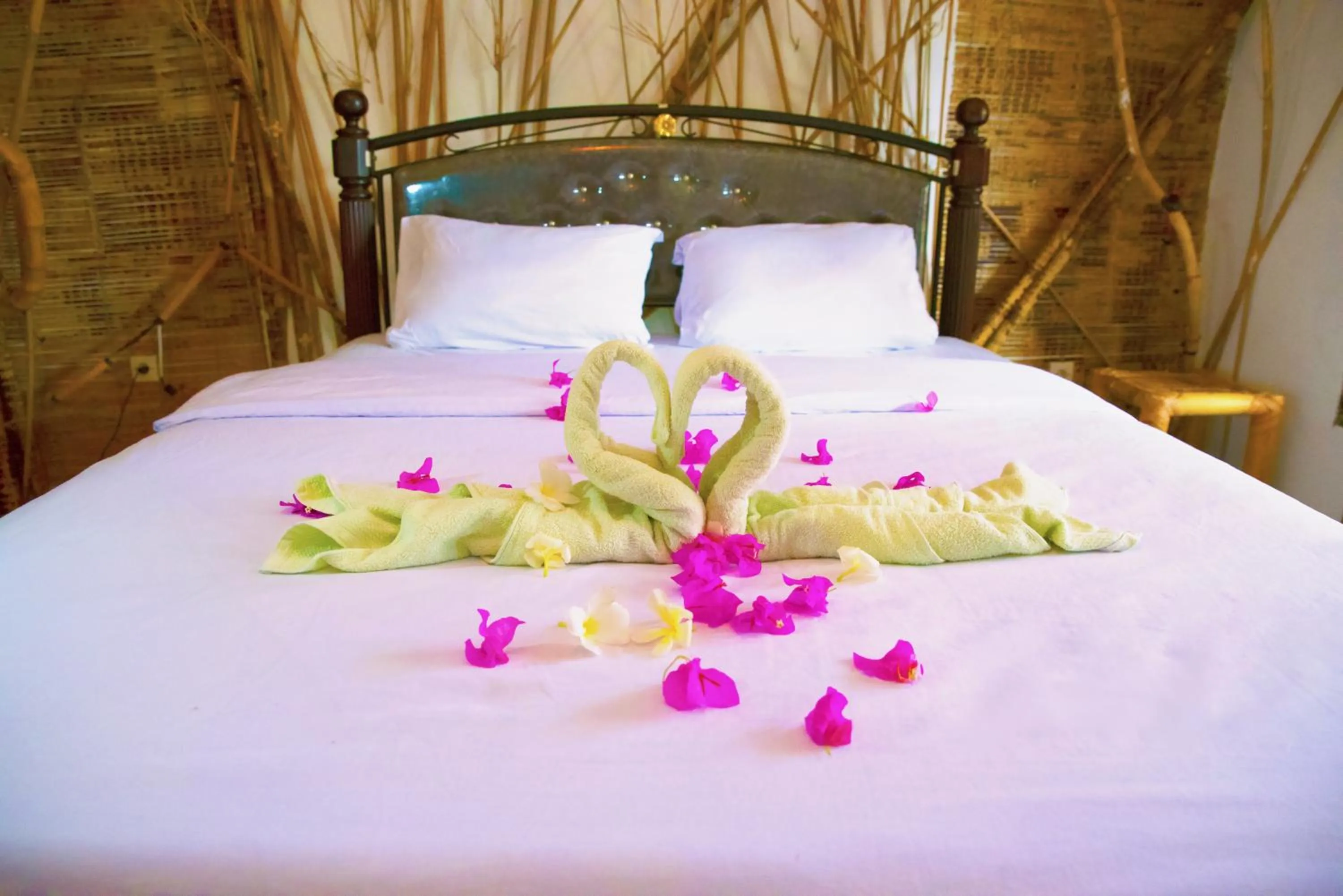 Bed in The Rabbit Tree Hostel