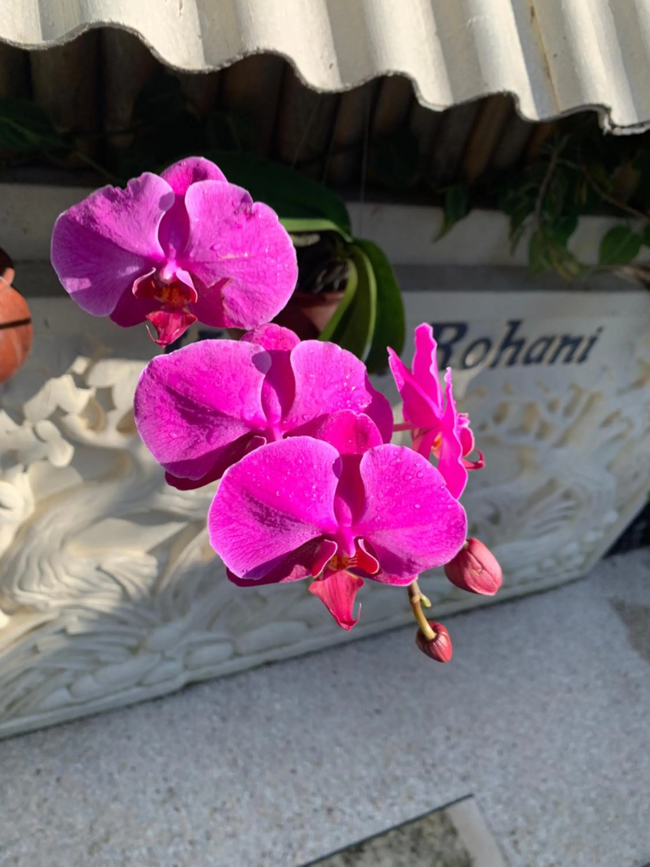 Kebun Rohani Cottages