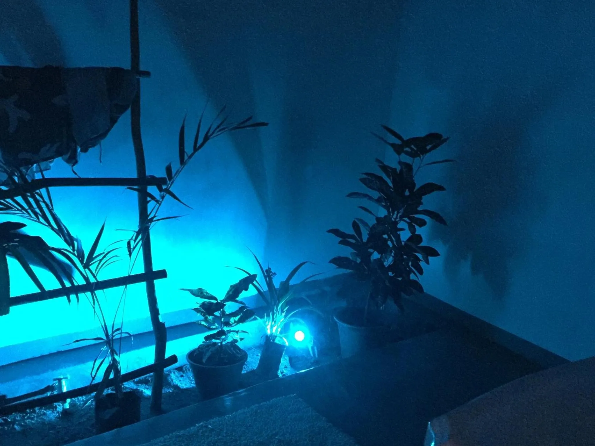 Bathroom in Kadjan villa