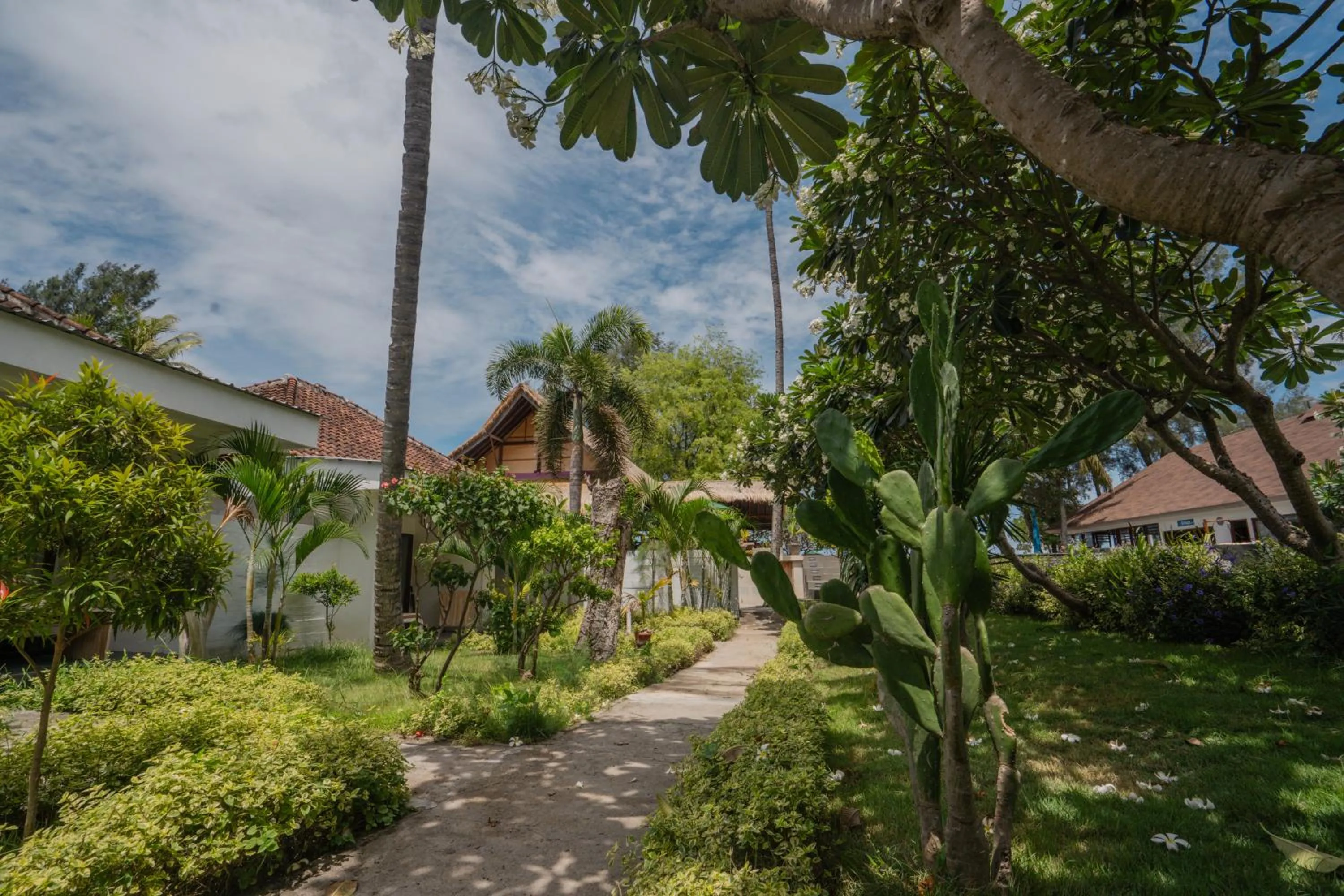 Garden view in Blue Marlin Dive Gili Air
