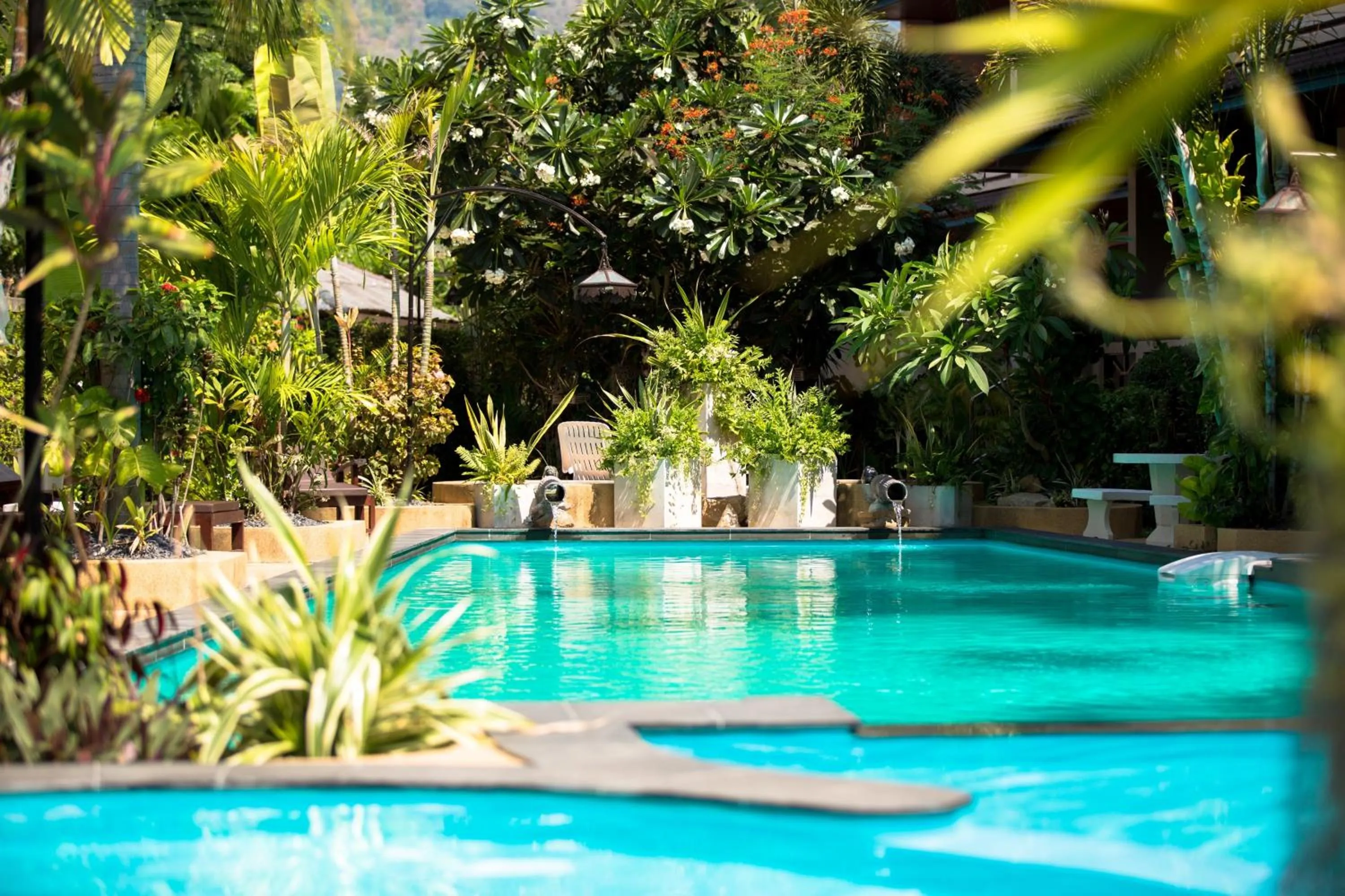 Swimming pool in Aumpai Luxury