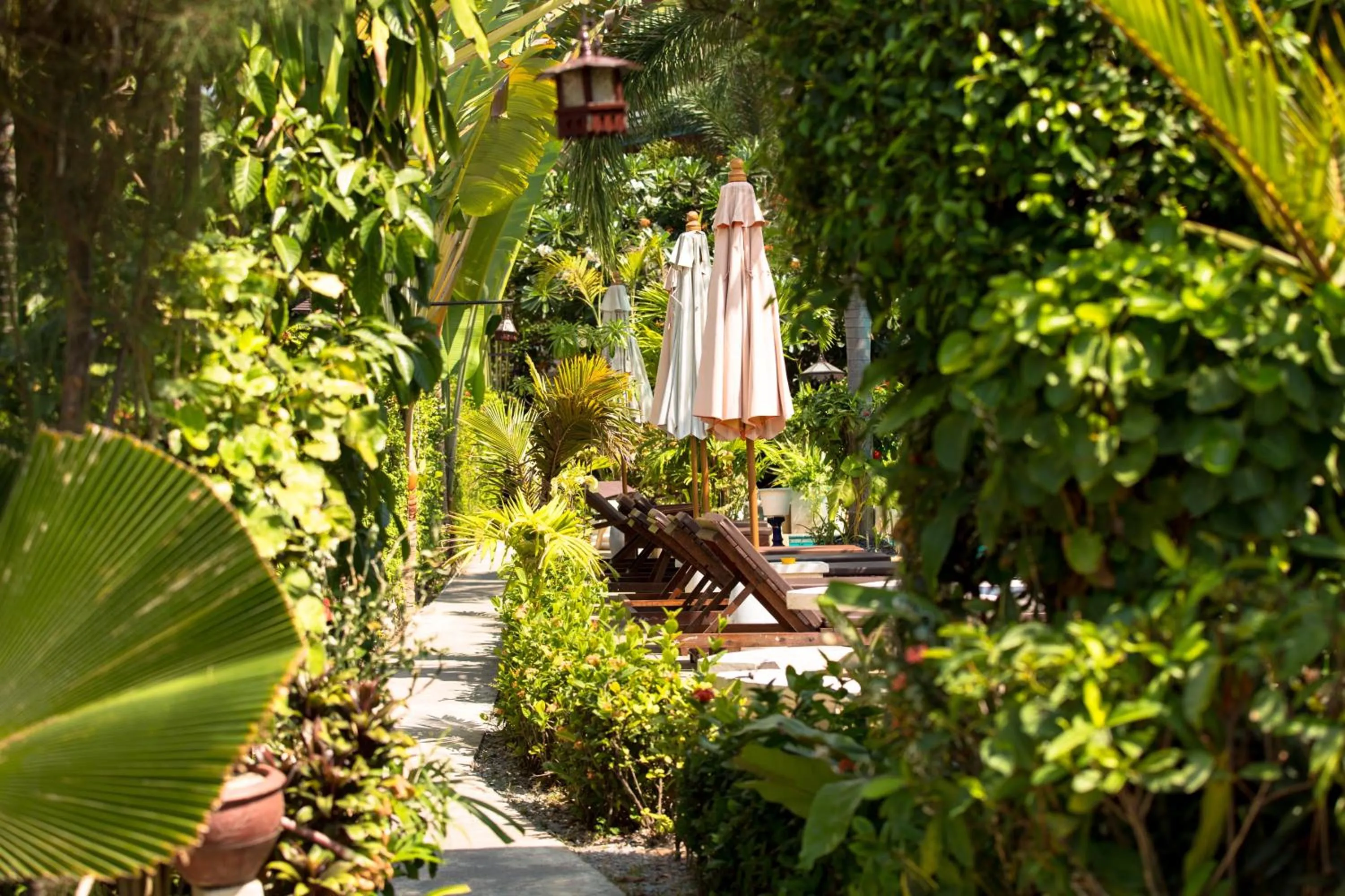 Swimming pool in Aumpai Luxury