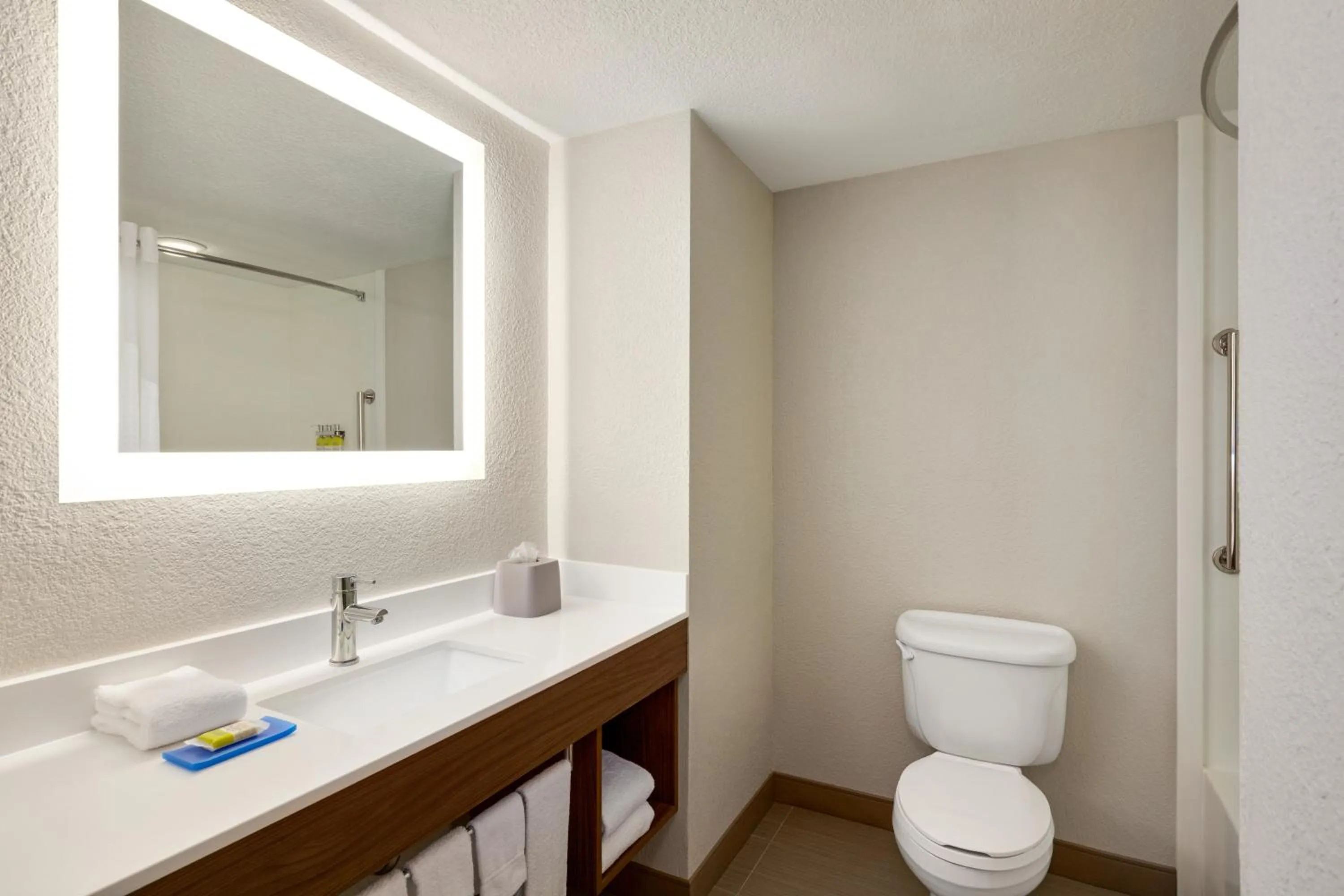 Bathroom in Holiday Inn Express & Suites Pembroke Pines-Sheridan St by IHG