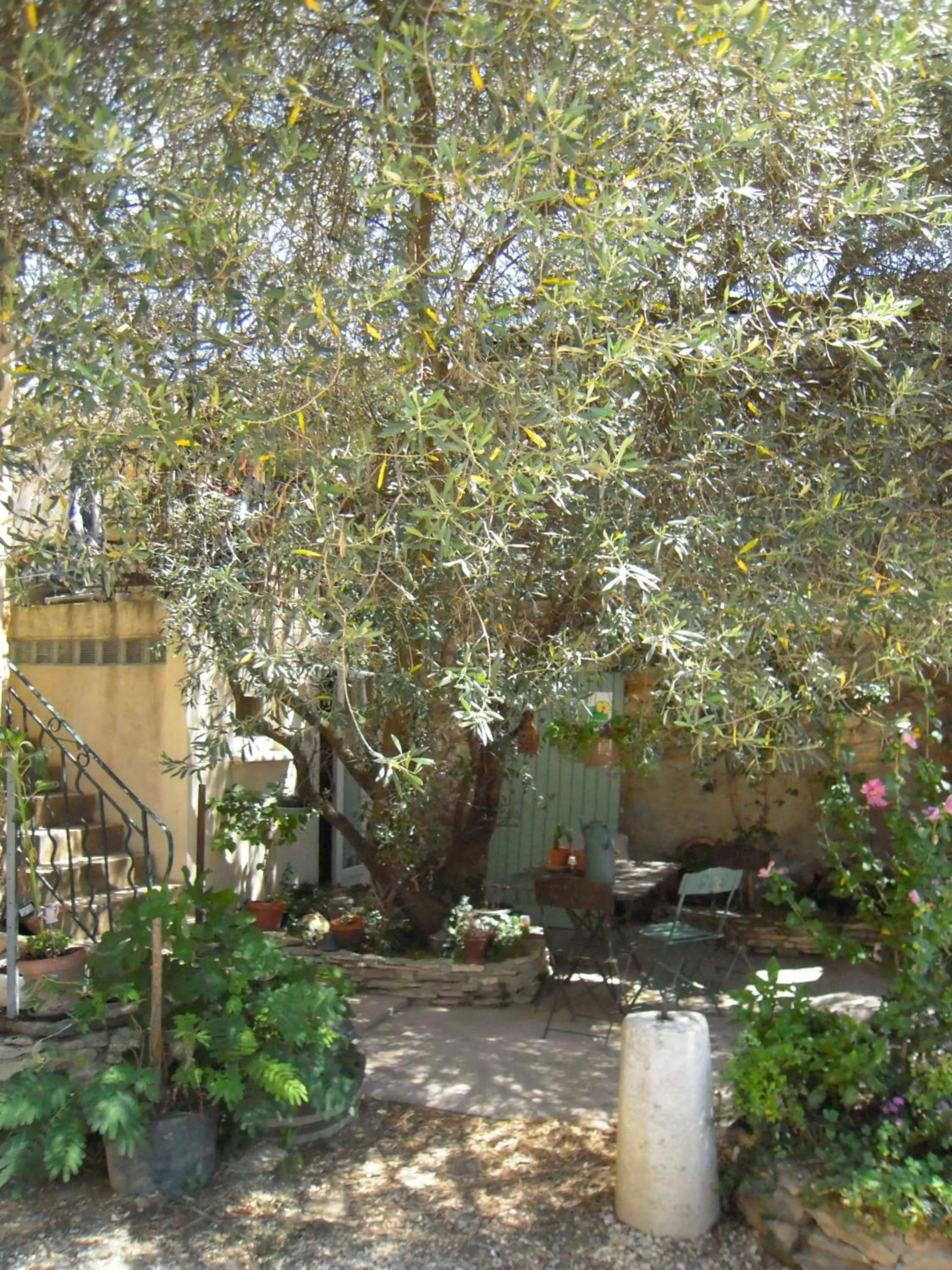 Patio in Domaine Chanoine Rambert