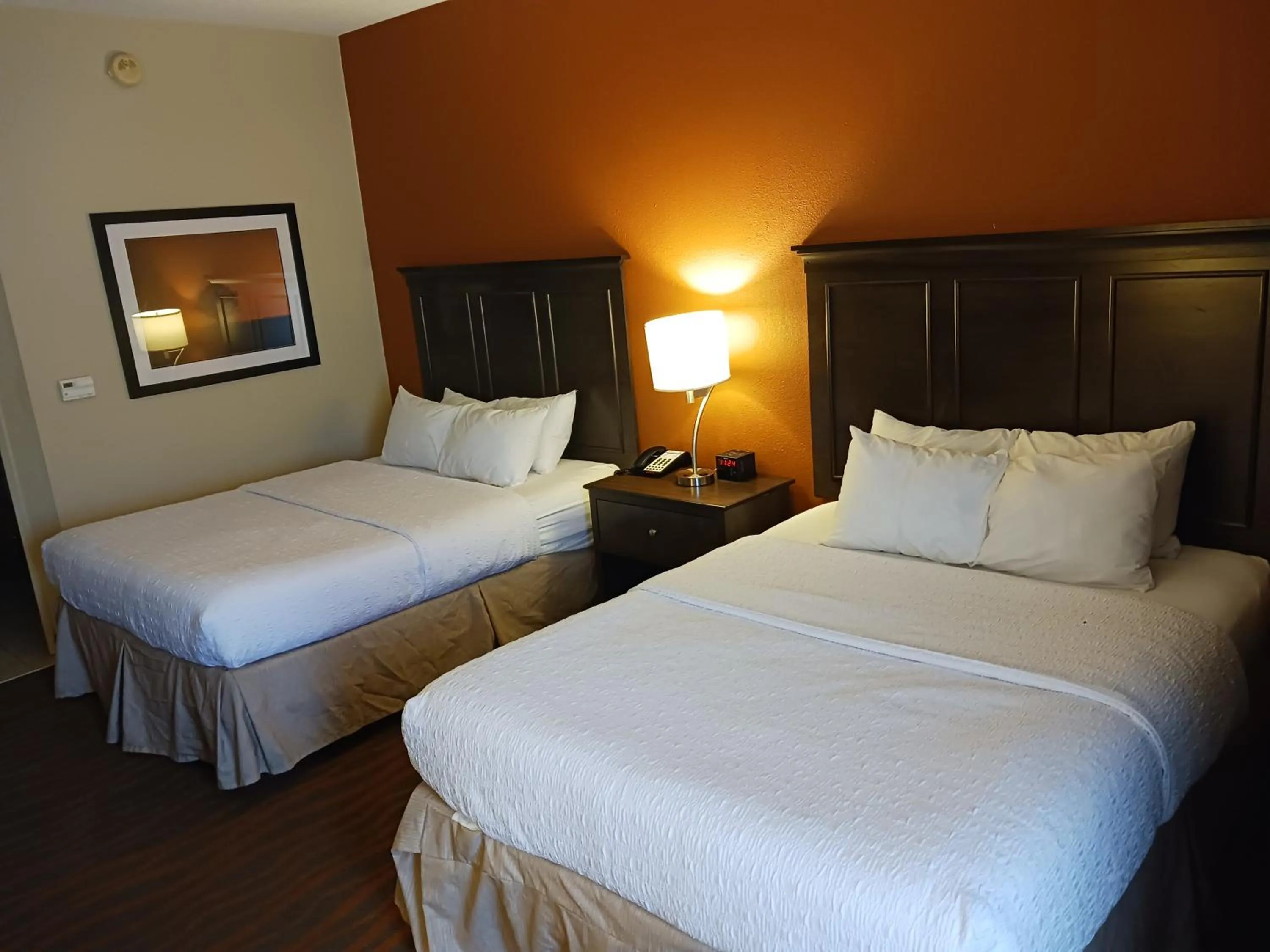 Bed in Hampton Inn by Hilton Clarksville