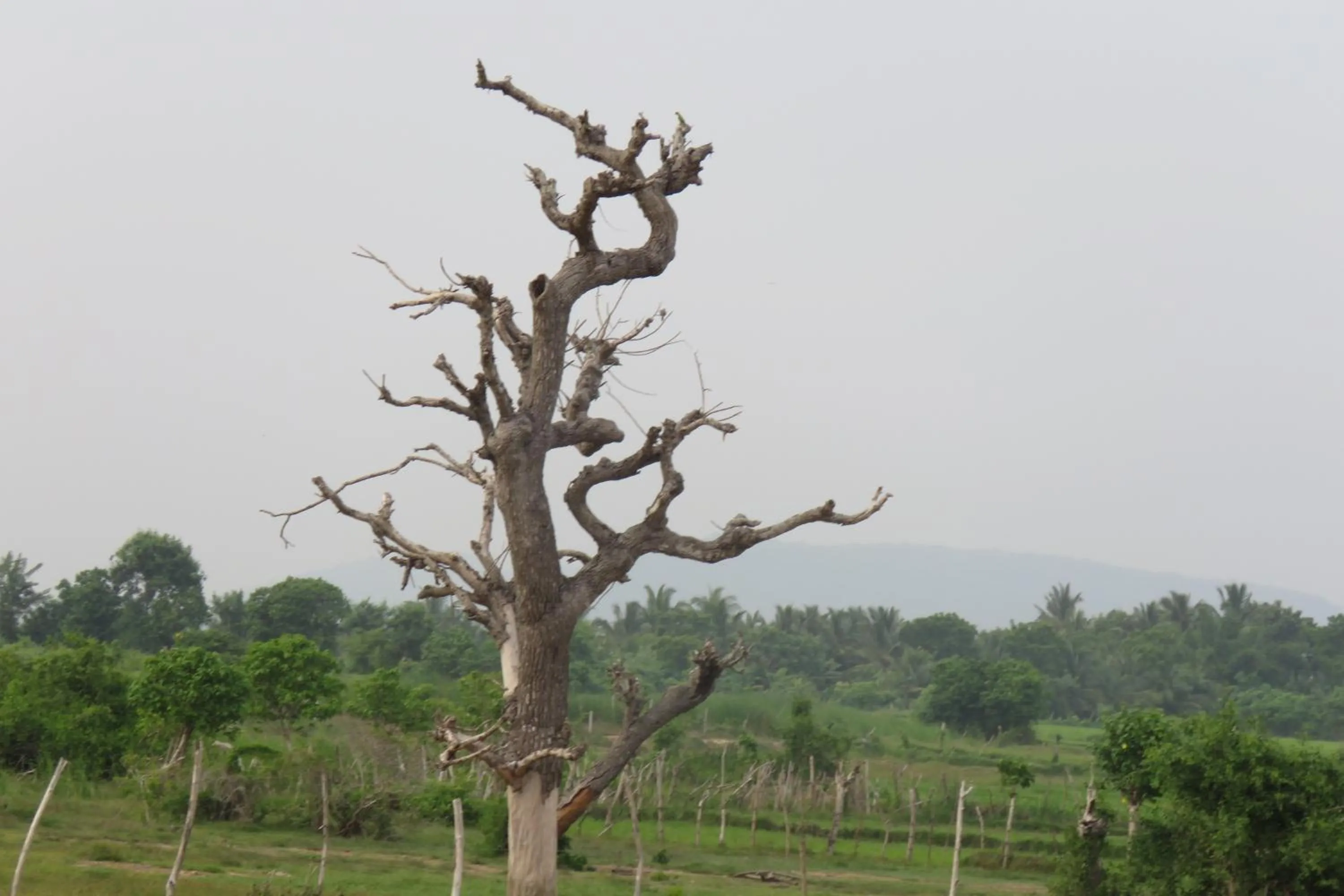 Property building in Yala Peace Cottages