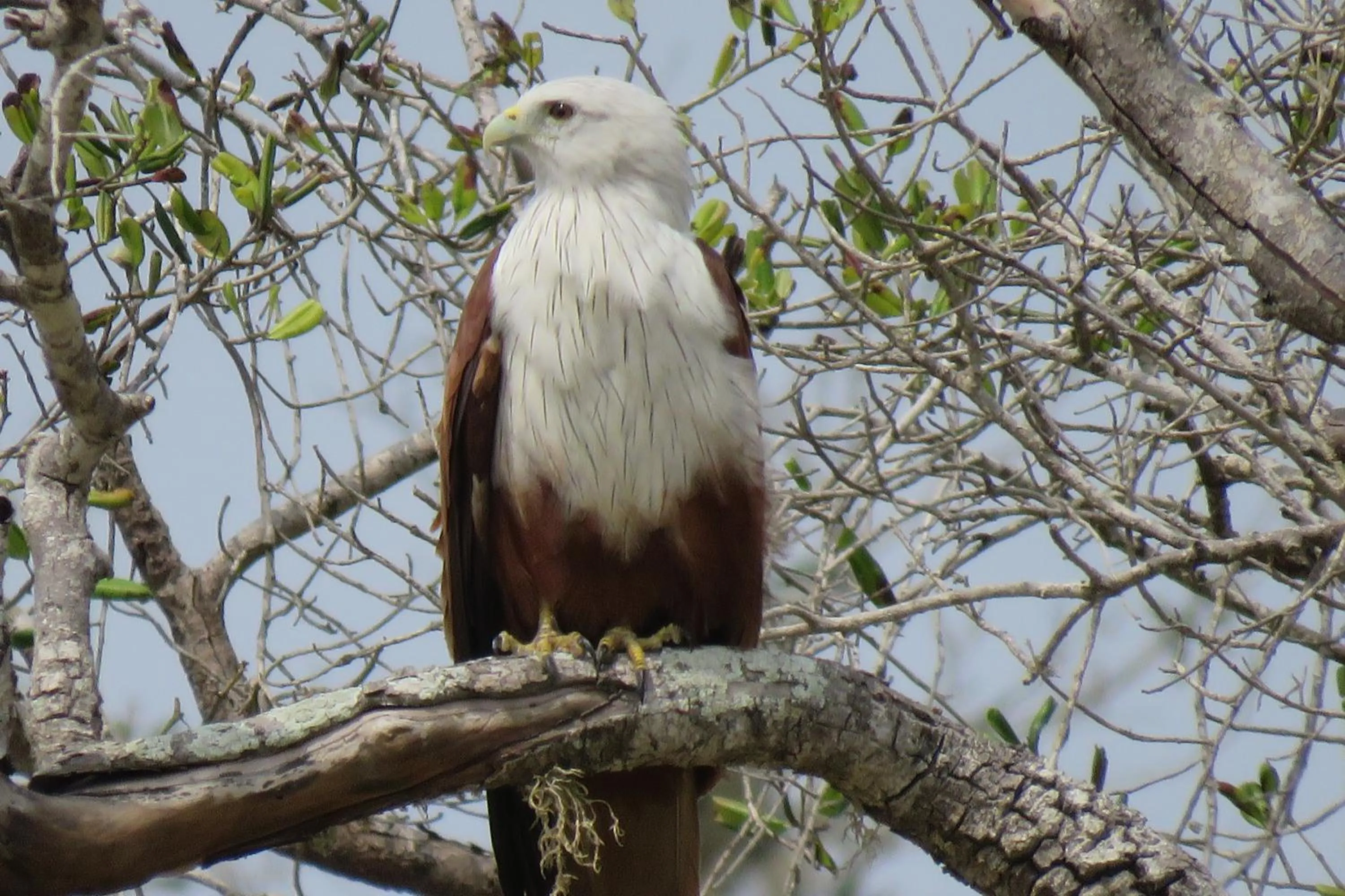 Property building in Yala Peace Cottages