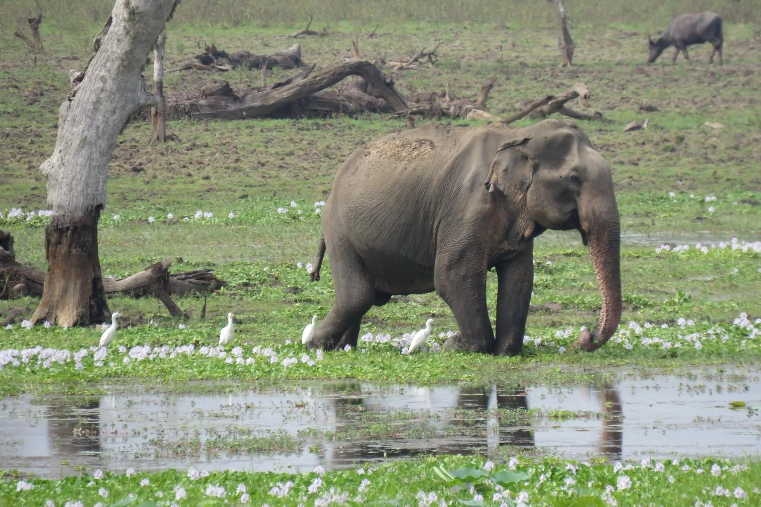 Property building in Yala Peace Cottages