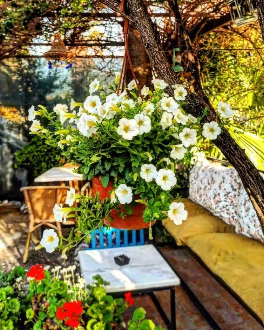 Işıl Suit Apart Otel