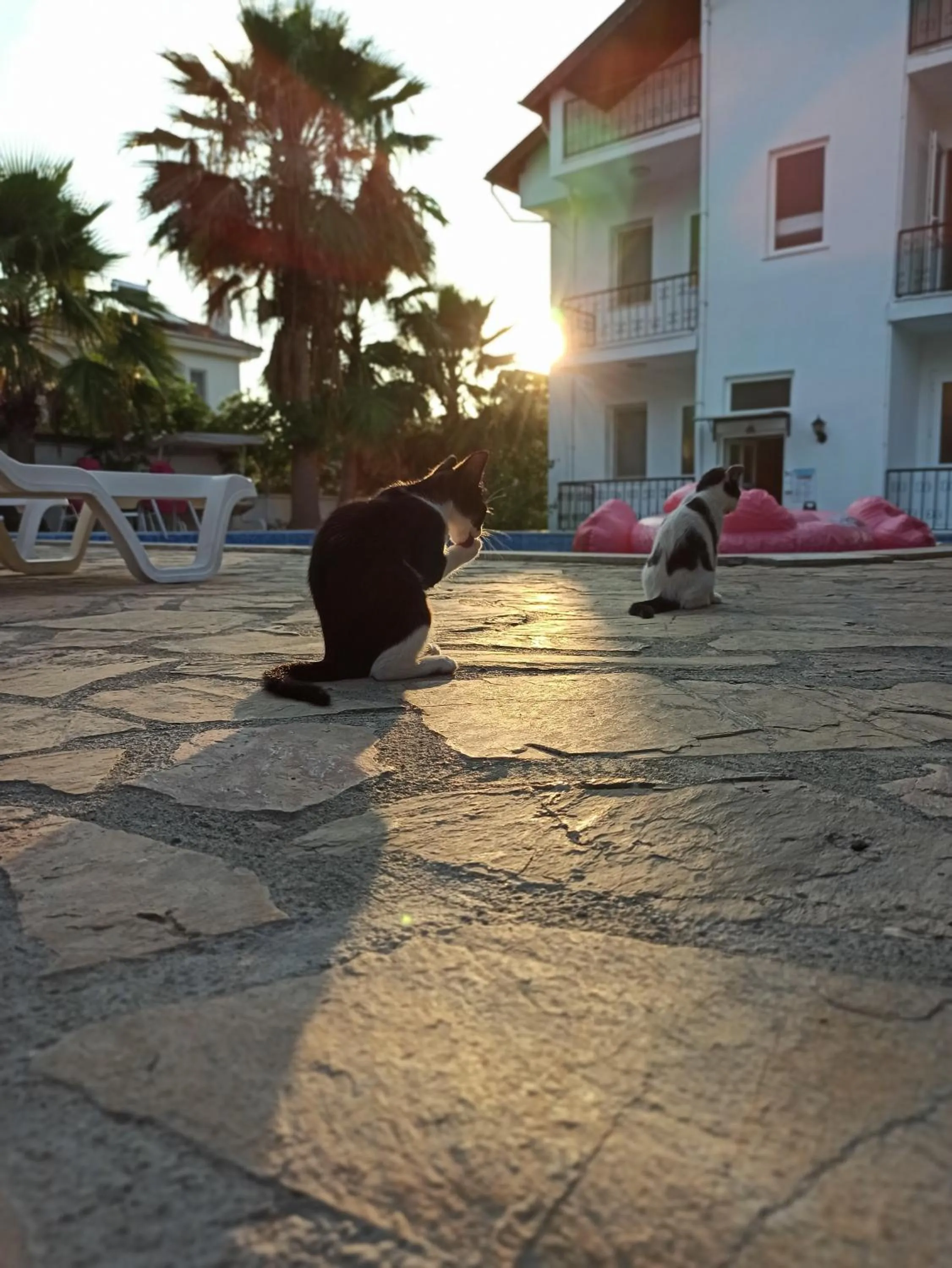 Restaurant/places to eat in Işıl Suit Apart Otel