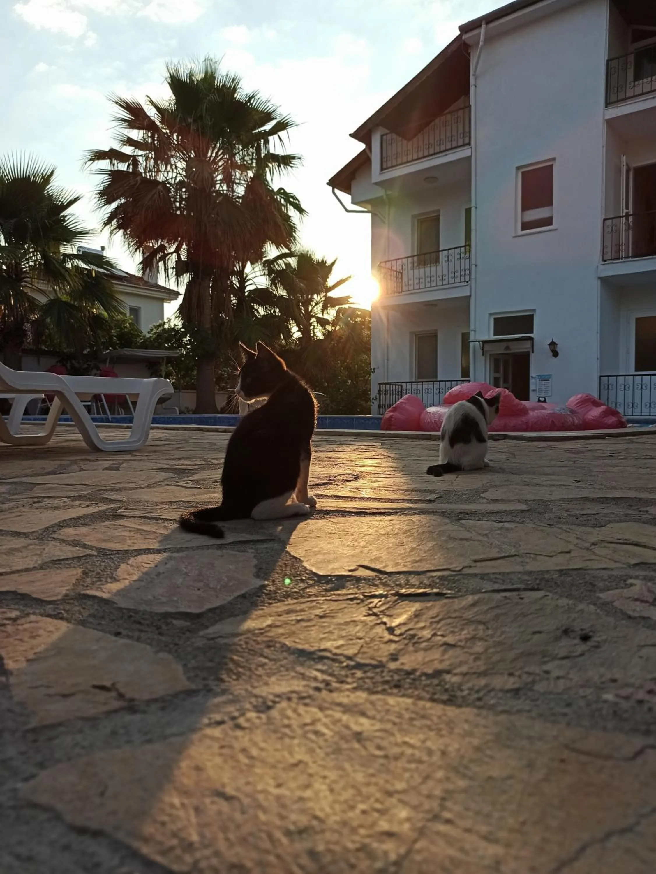 Restaurant/places to eat in Işıl Suit Apart Otel