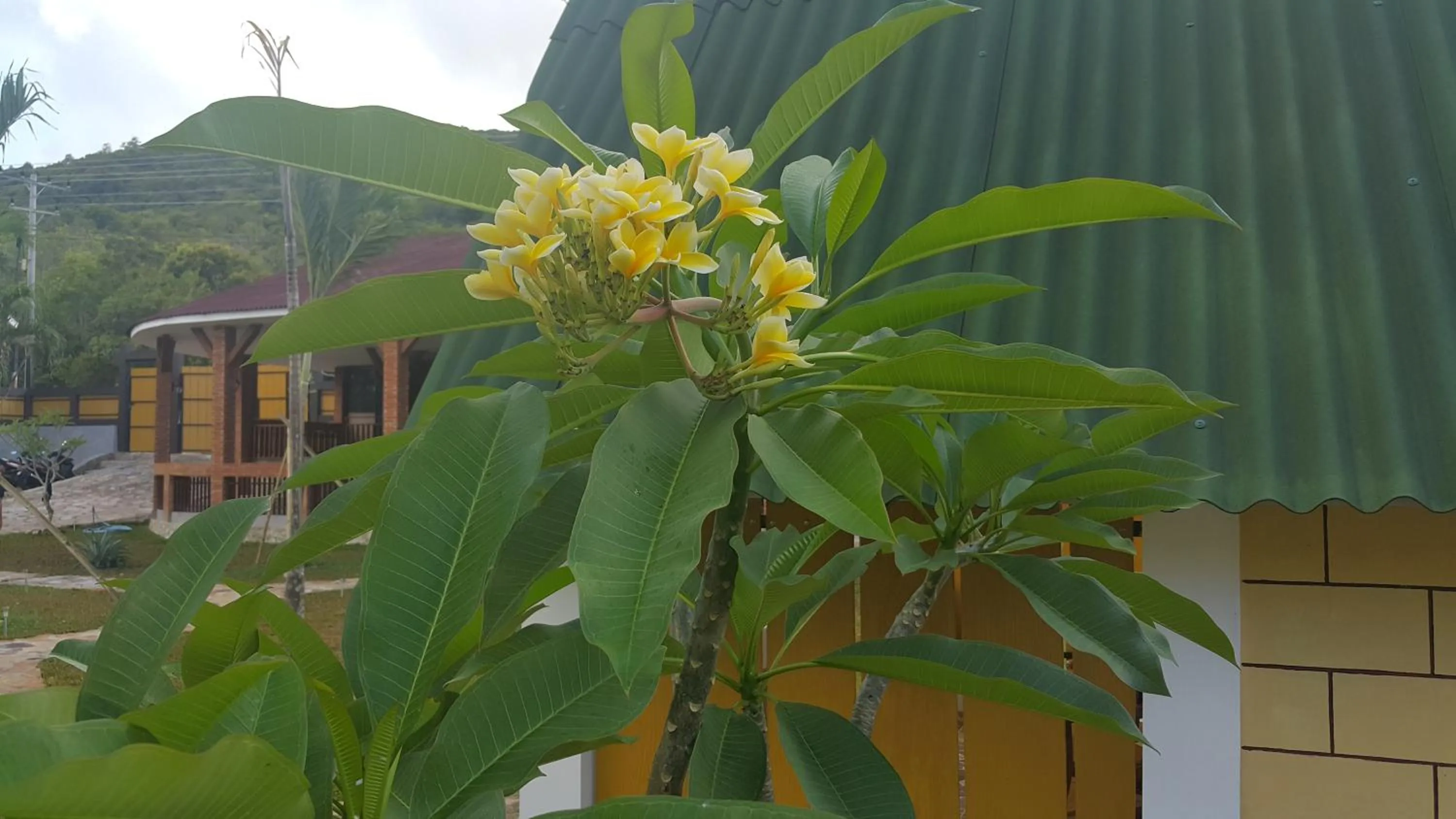 Garden view in CasaVelion