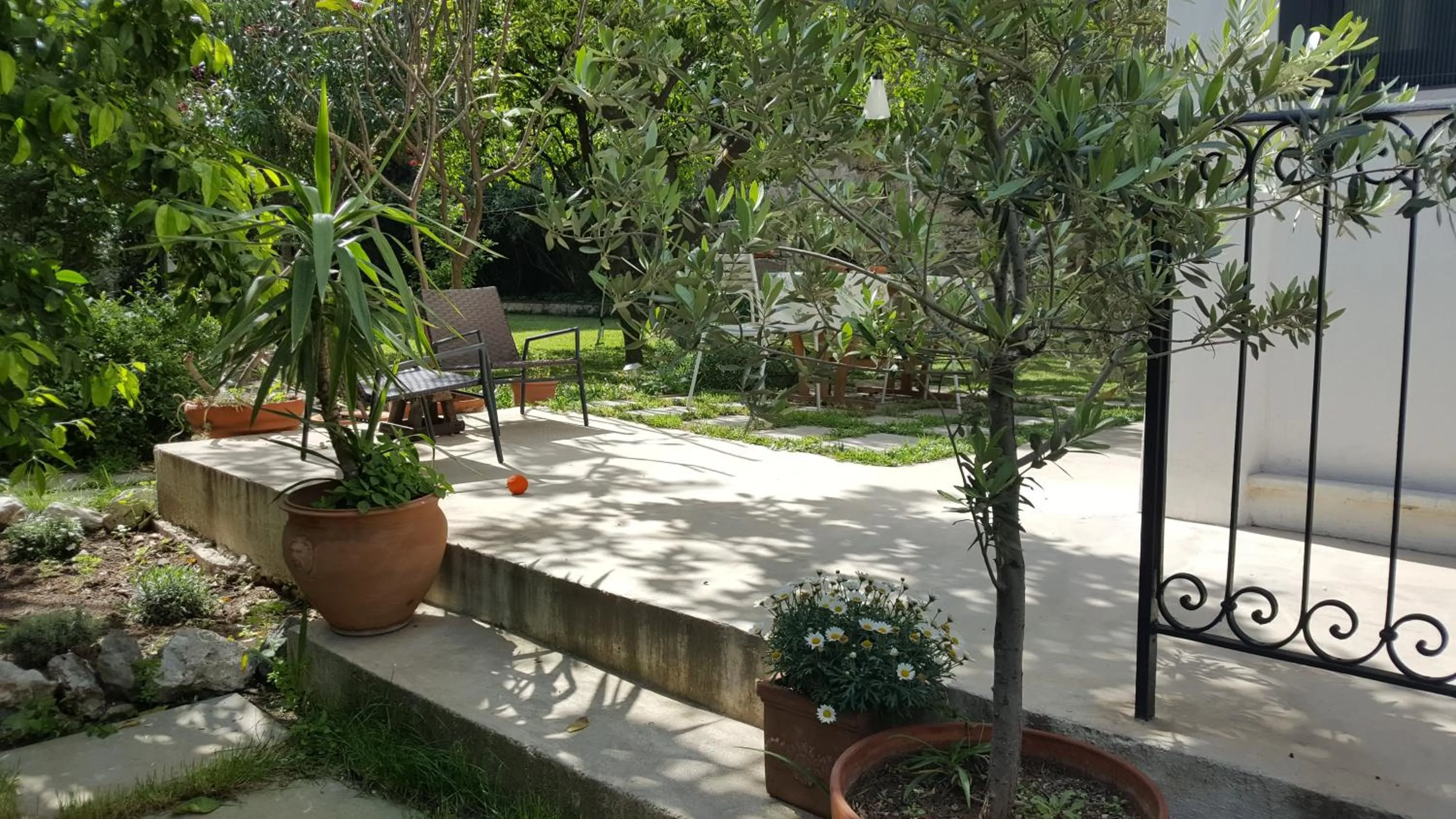 Nel Giardino degli Agrumi