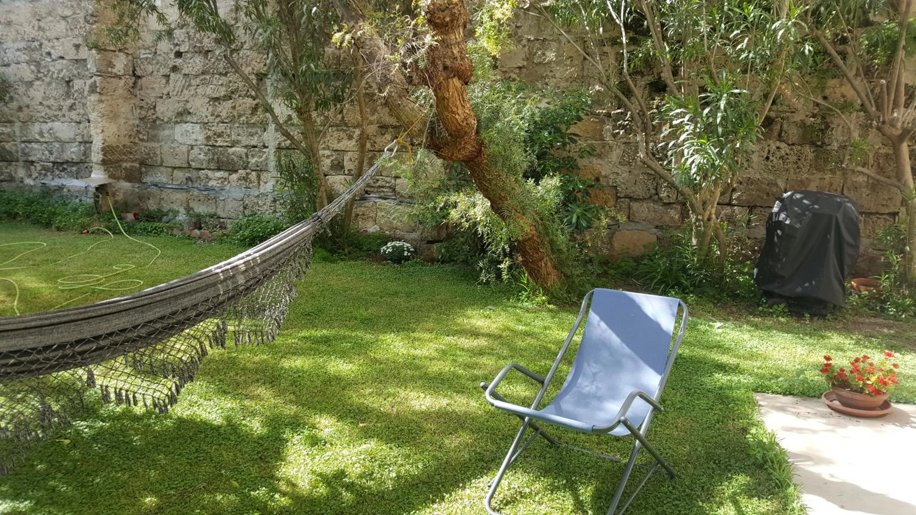 Nel Giardino degli Agrumi