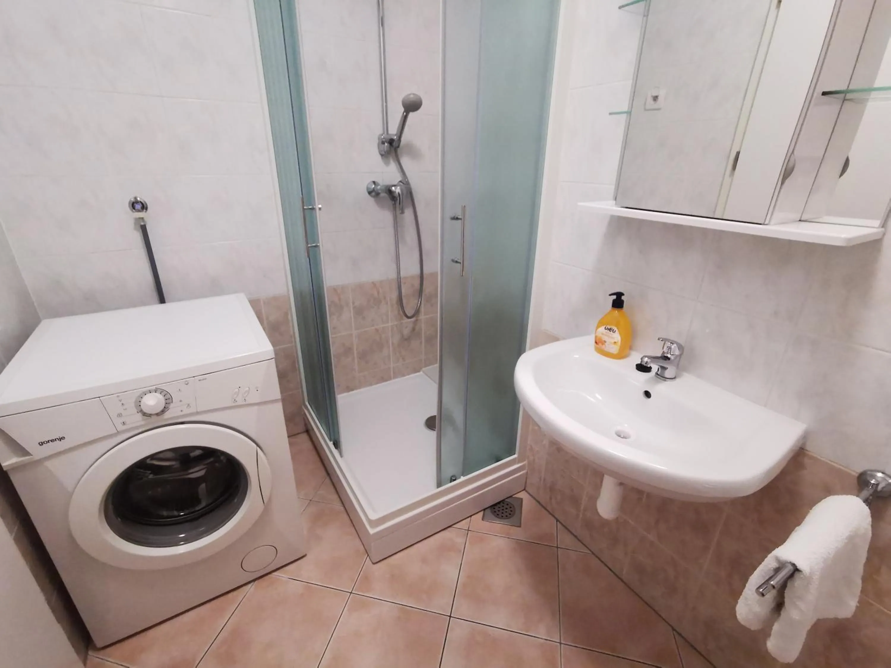 Bathroom in Trnovo apartment with free parking