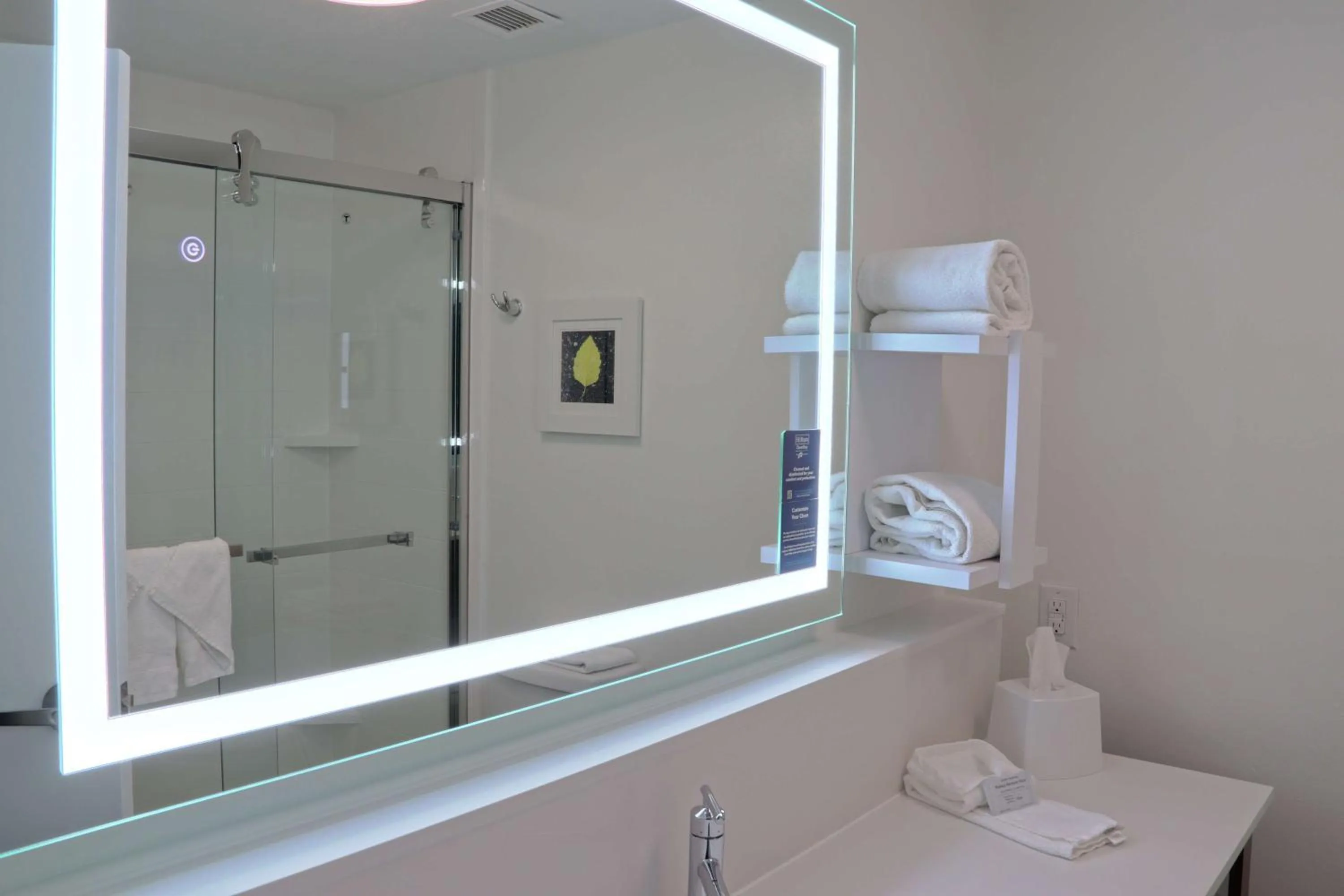 Bathroom in Hampton Inn Danville