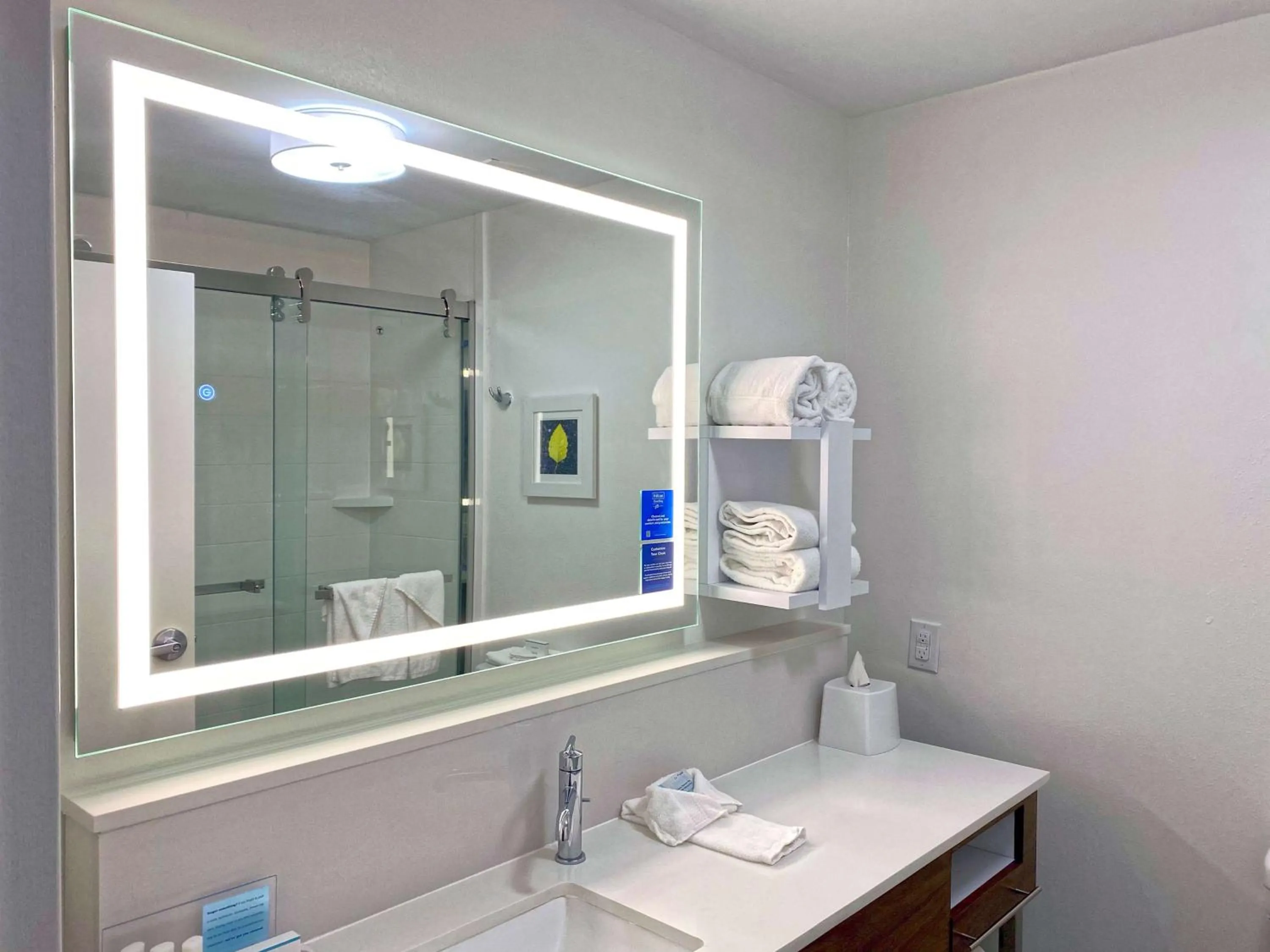 Bathroom in Hampton Inn Danville