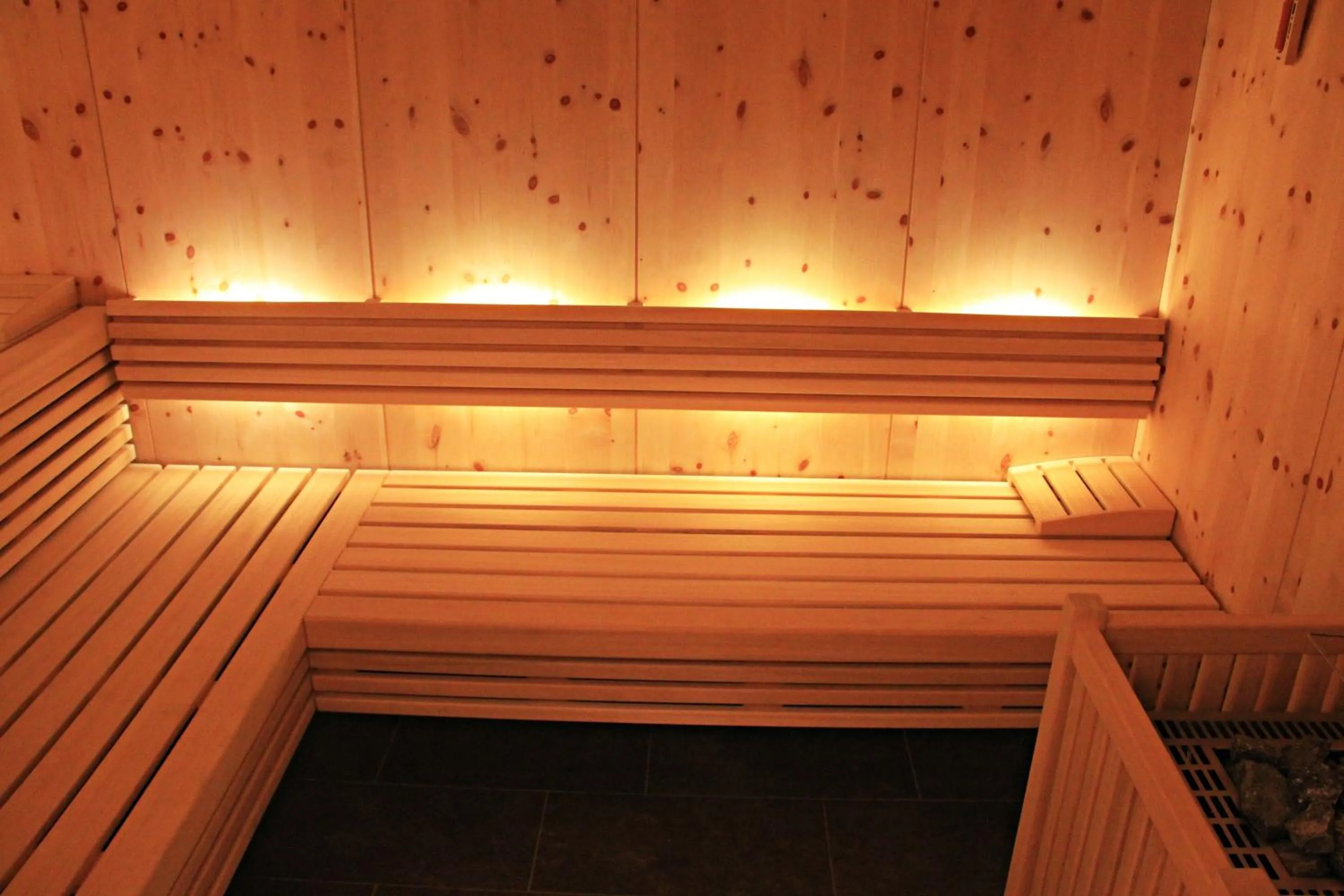 Sauna in Residence Egger